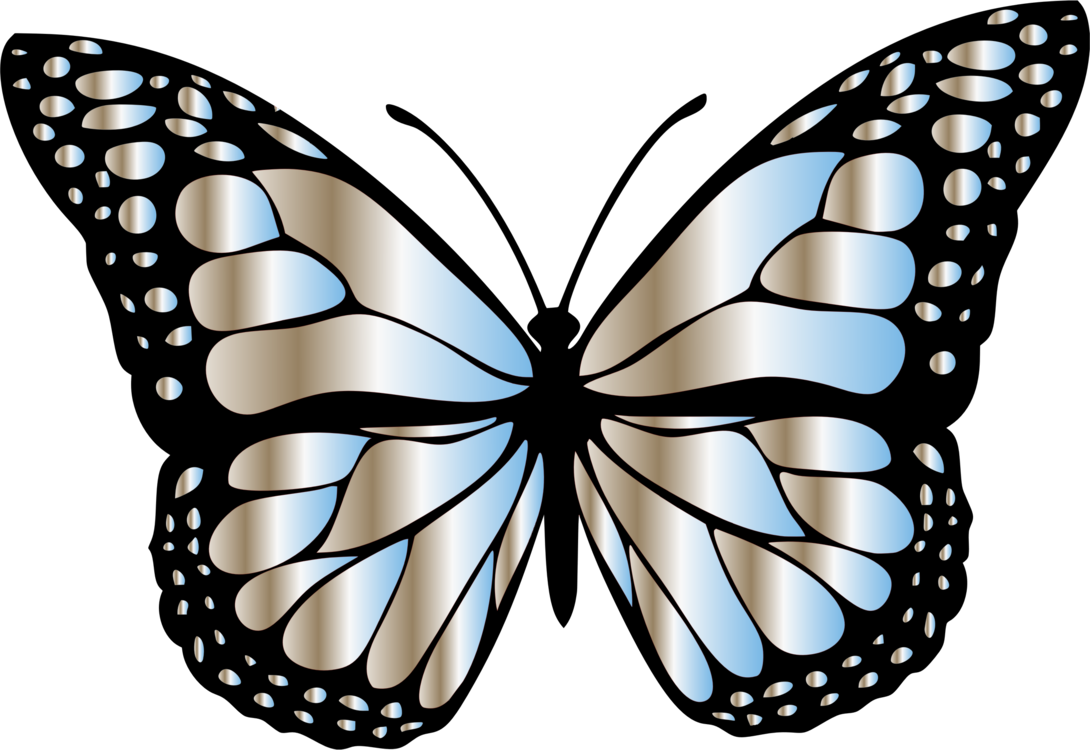 Бабочка Монарх вектор. Бабочка рисунок. Бабочки на белом фоне. Красивые бабочки на прозрачном фоне.
