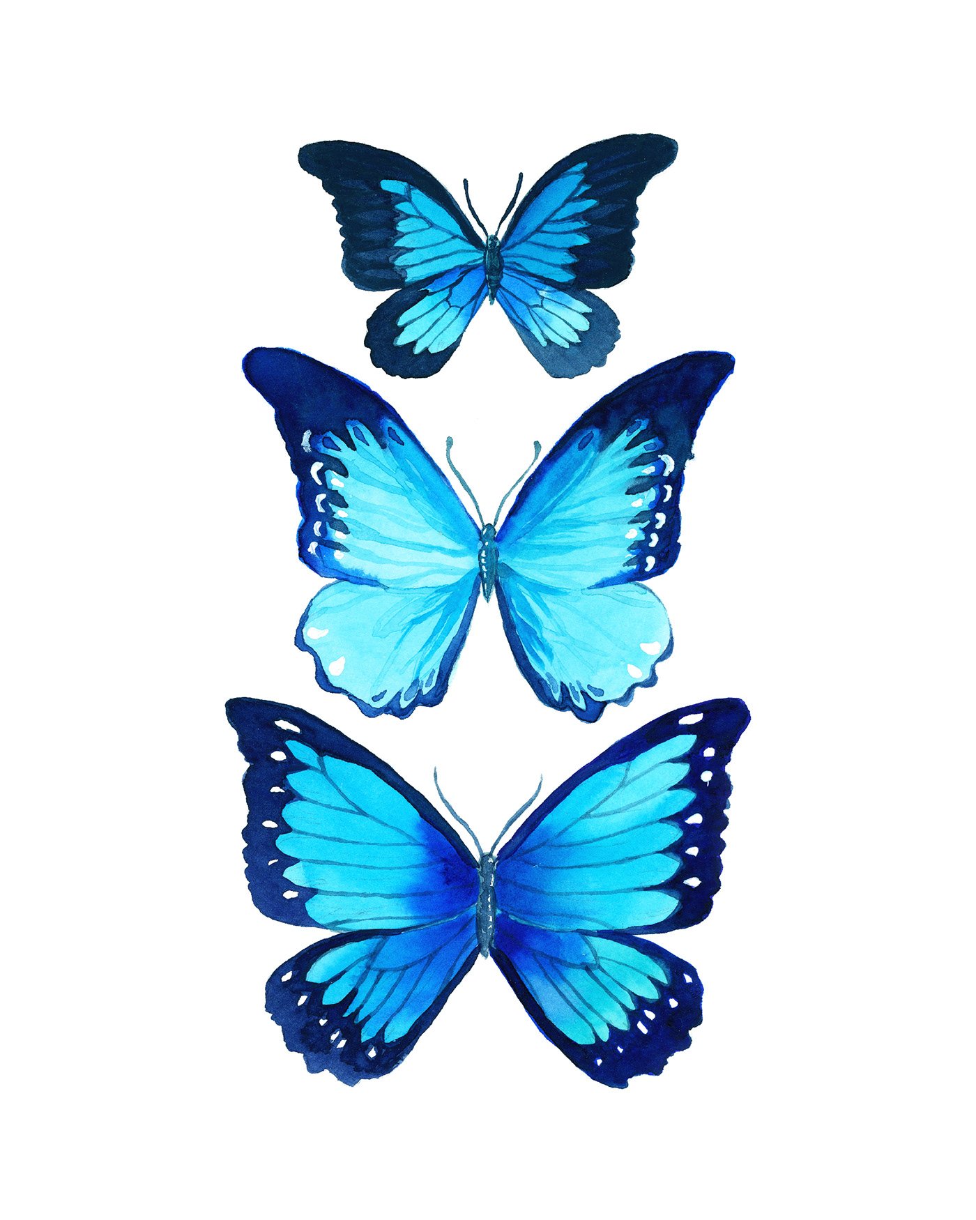 Бабочки для торта картинки для печати. Бабочка рисунок. Бабочки бирюзовые для печати. Красивая бабочка рисунок. Бабочки фотопечать.