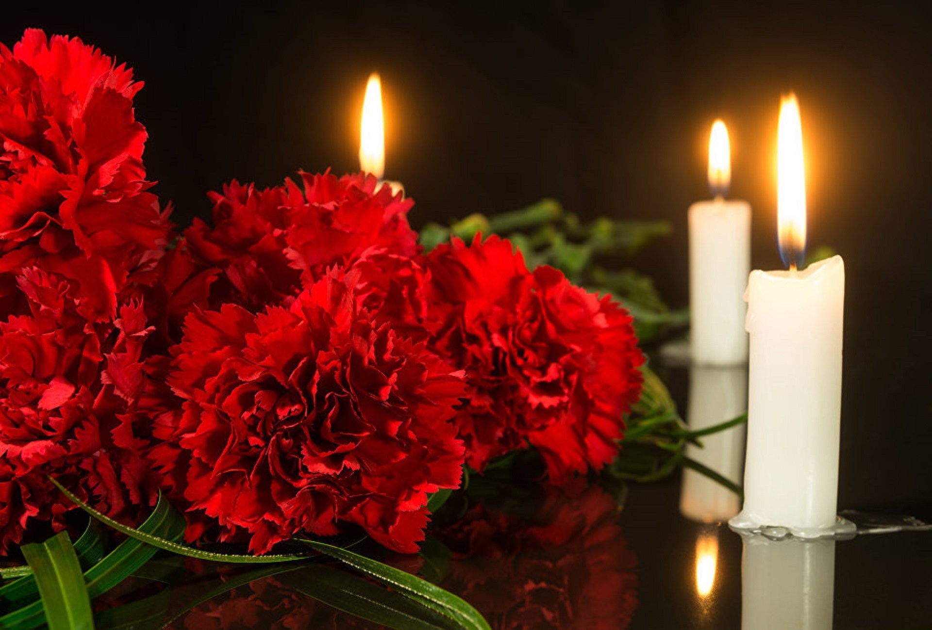 Свеча в честь погибших. Свеча и гвоздики. Гвоздики похоронные цветы. Траурная свеча. Цветы скорби.