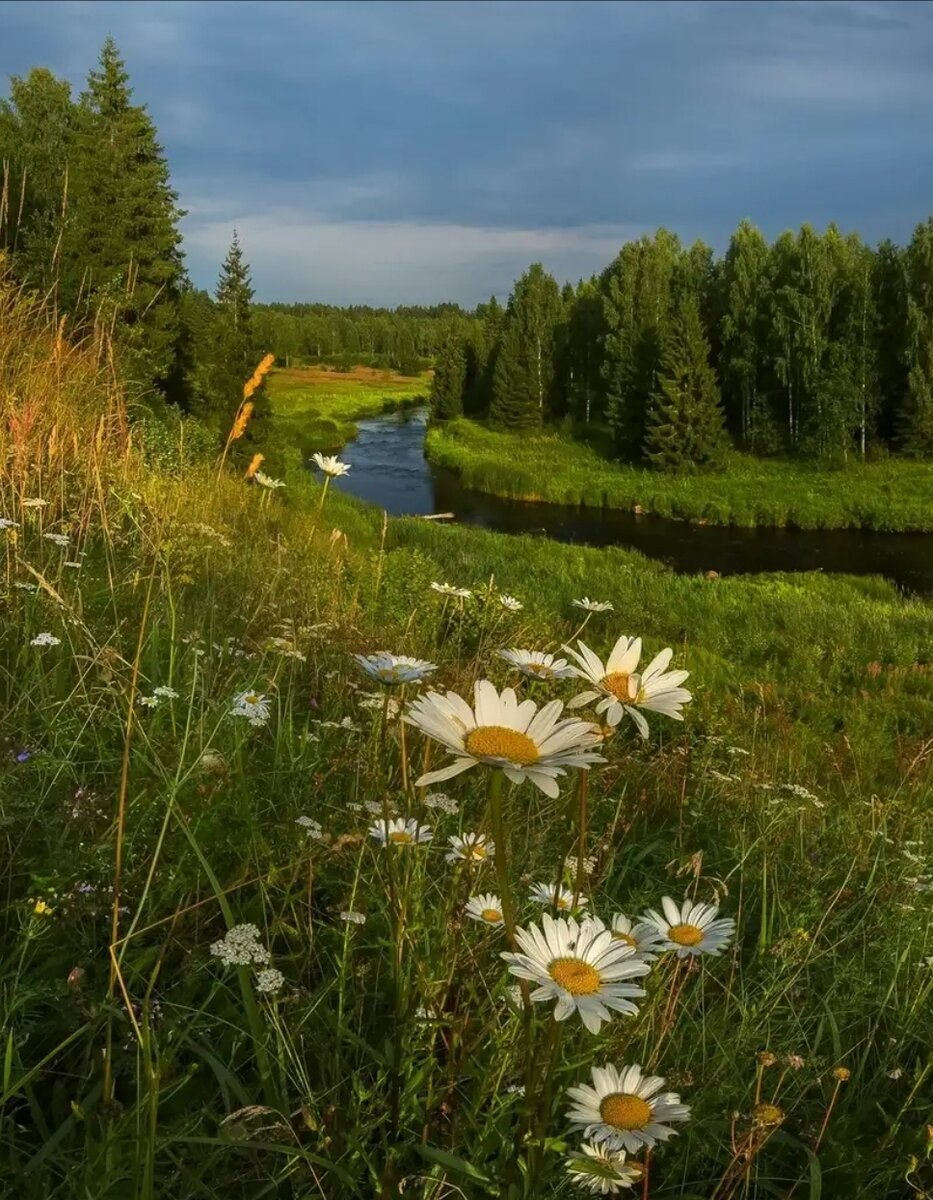 Картинки летний пейзаж