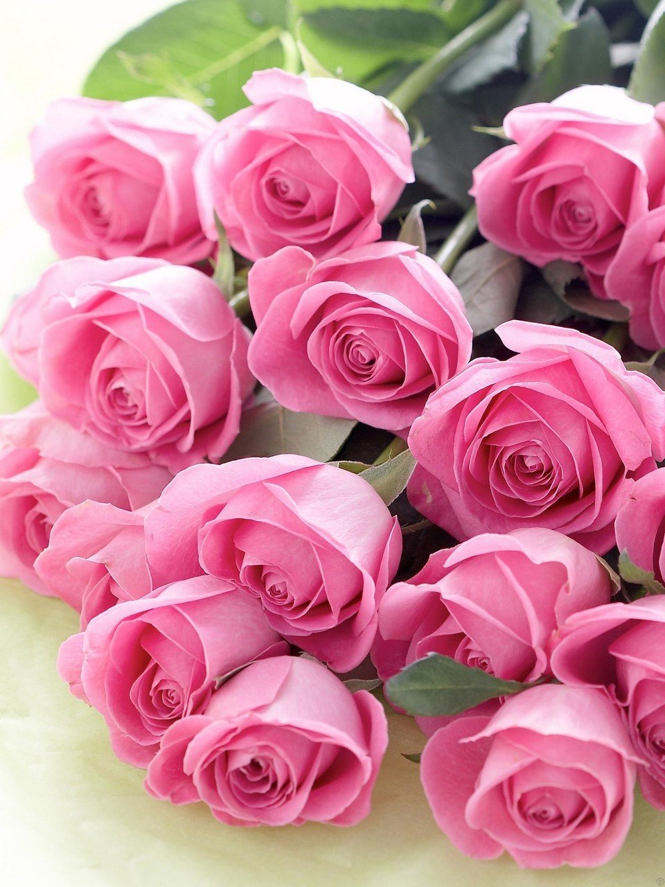 Розы и букеты роз. Прекрасные анимированные картинки. Открытки поздравления гиф фото скачать