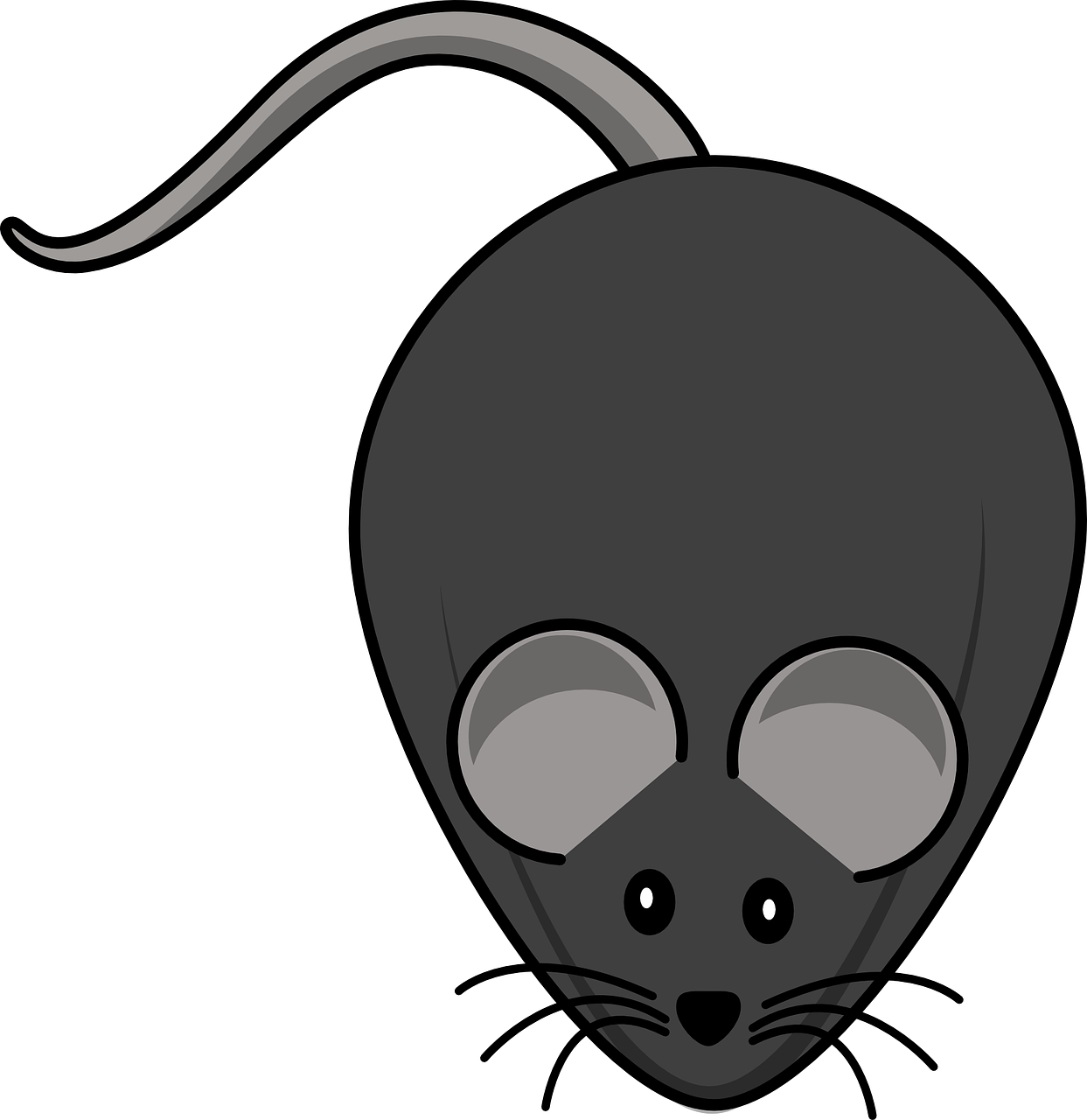 Картинка мышки. Мышь мультяшный. Мышка картинка. Мышка рисунок. Мультяшную мышку.