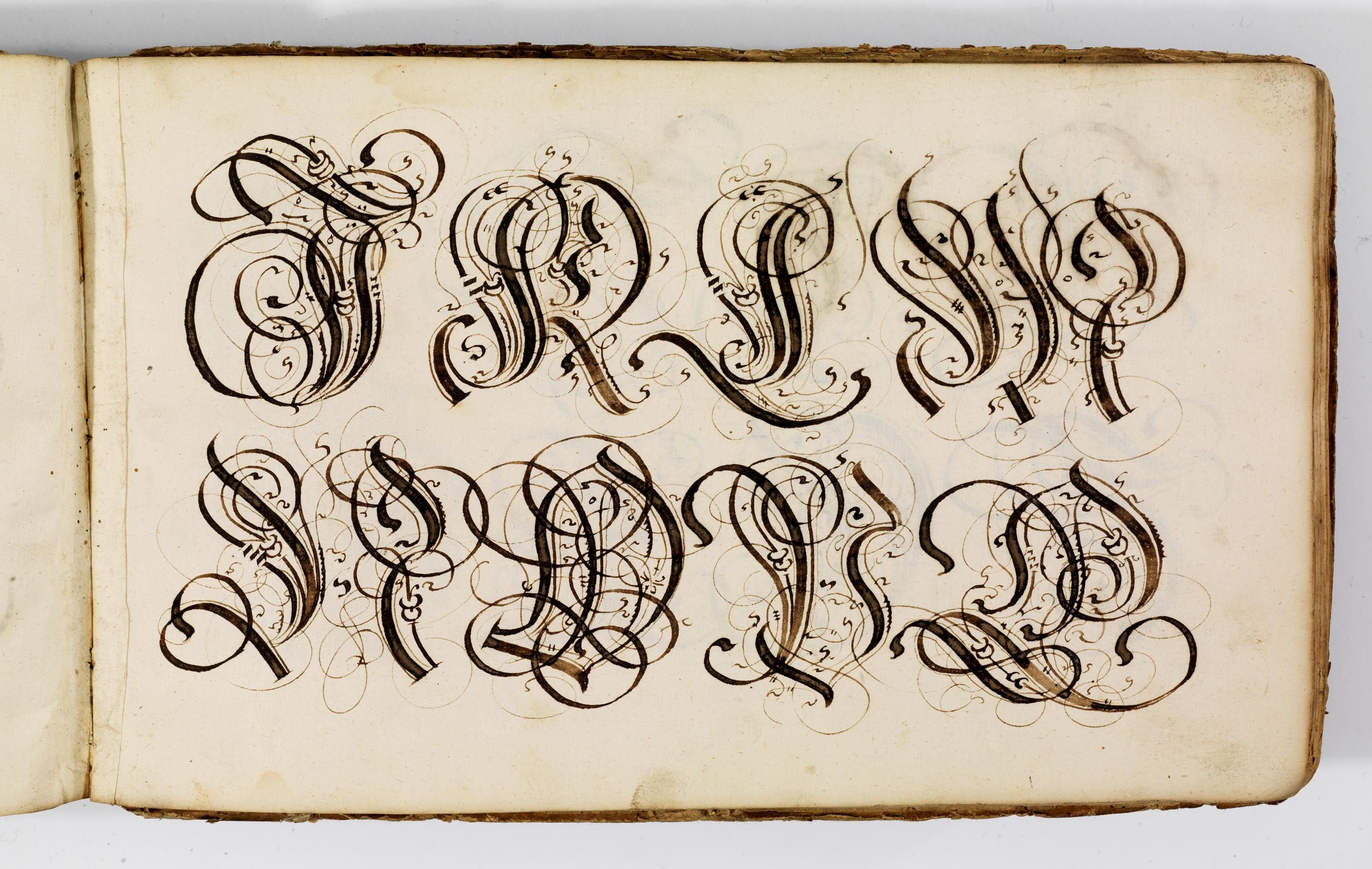 Древние рукописи буквы. Западная (европейская) каллиграфия это. Флориш Готика каллиграфия. Каллиграфия картинки. Шедевры каллиграфии.