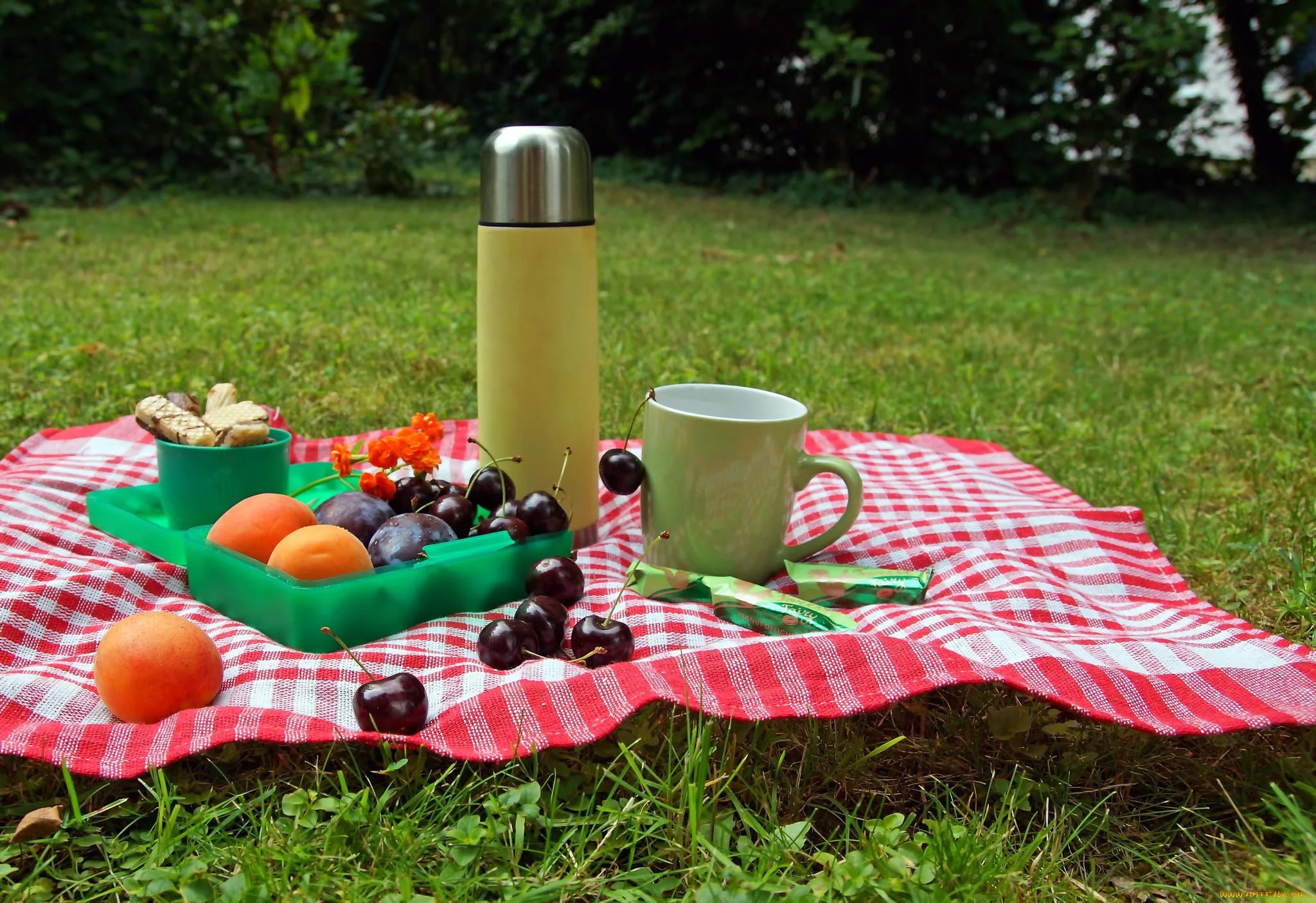 Пикник. Пикник на природе. Термос пикник. Пикник с фруктами. Пикник на лужайке.