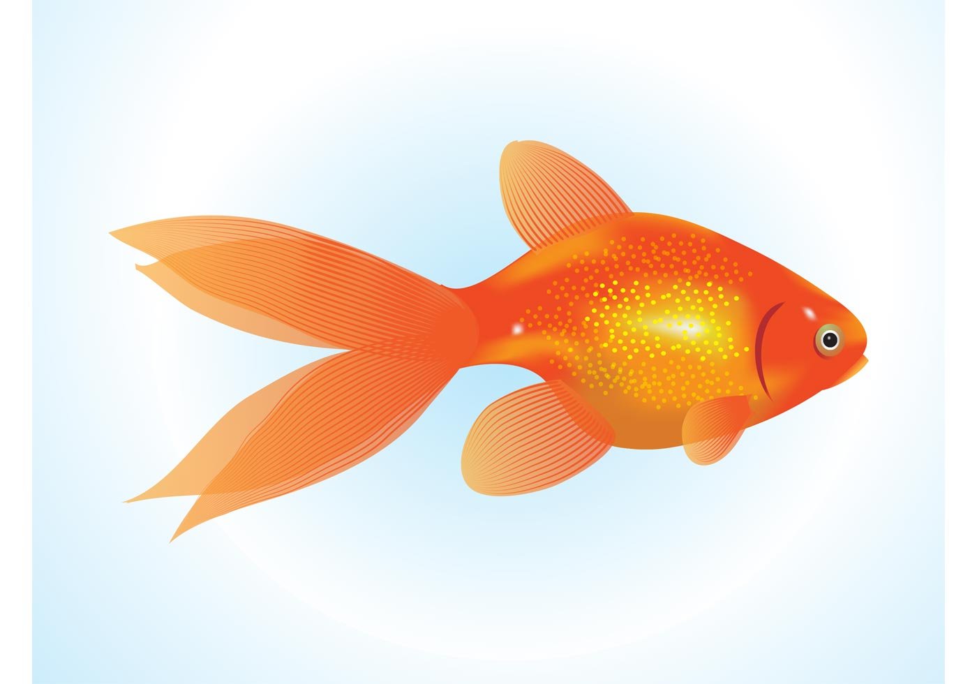 Включи рыбу 3. Рыба для детей. Золотая рыбка. Золотая рыбка для детей. Рыбки картинки.