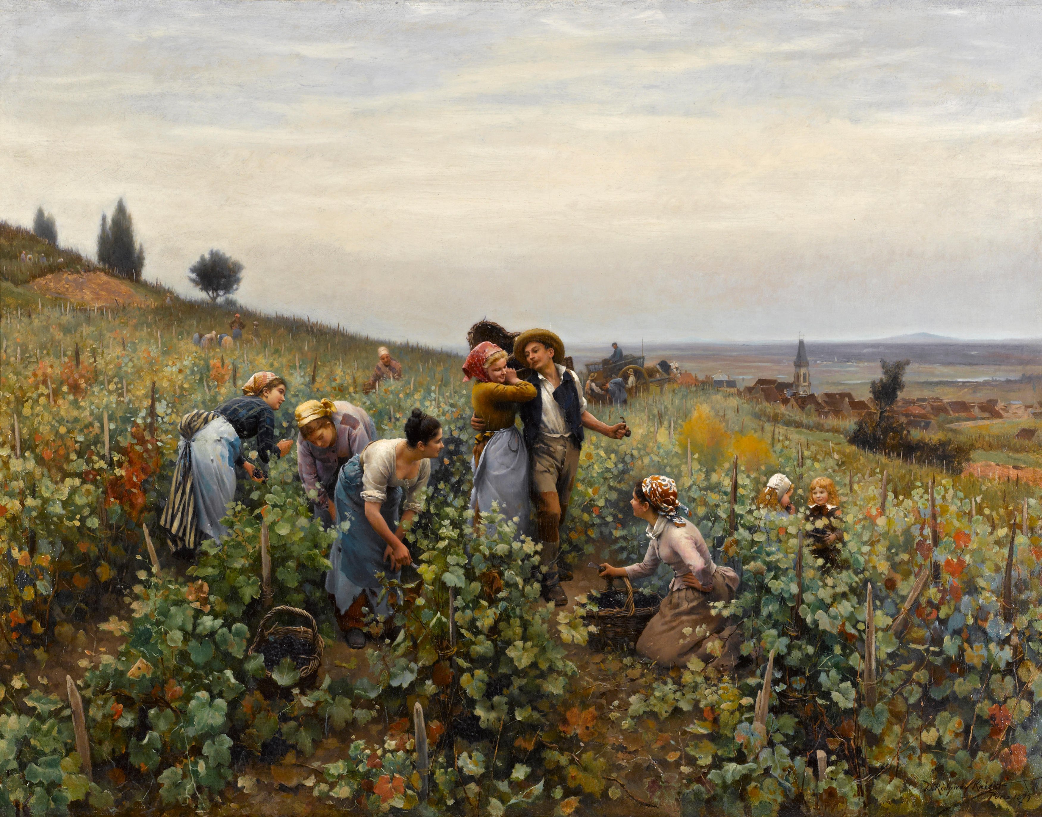 Картины собранные. «Сбор урожая в Провансе», 1888 года.. Роберт Цюнд сбор урожая. , «Сбор урожая», Комсомольская. Картина сбор урожая.