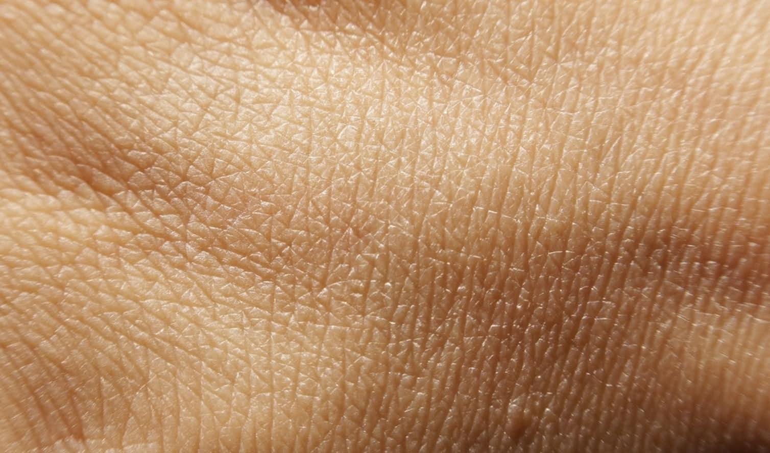 Где жил кожа. Кожа человека. Текстура человеческой кожи. Фактура кожи человека. Фактура человеческой кожи.