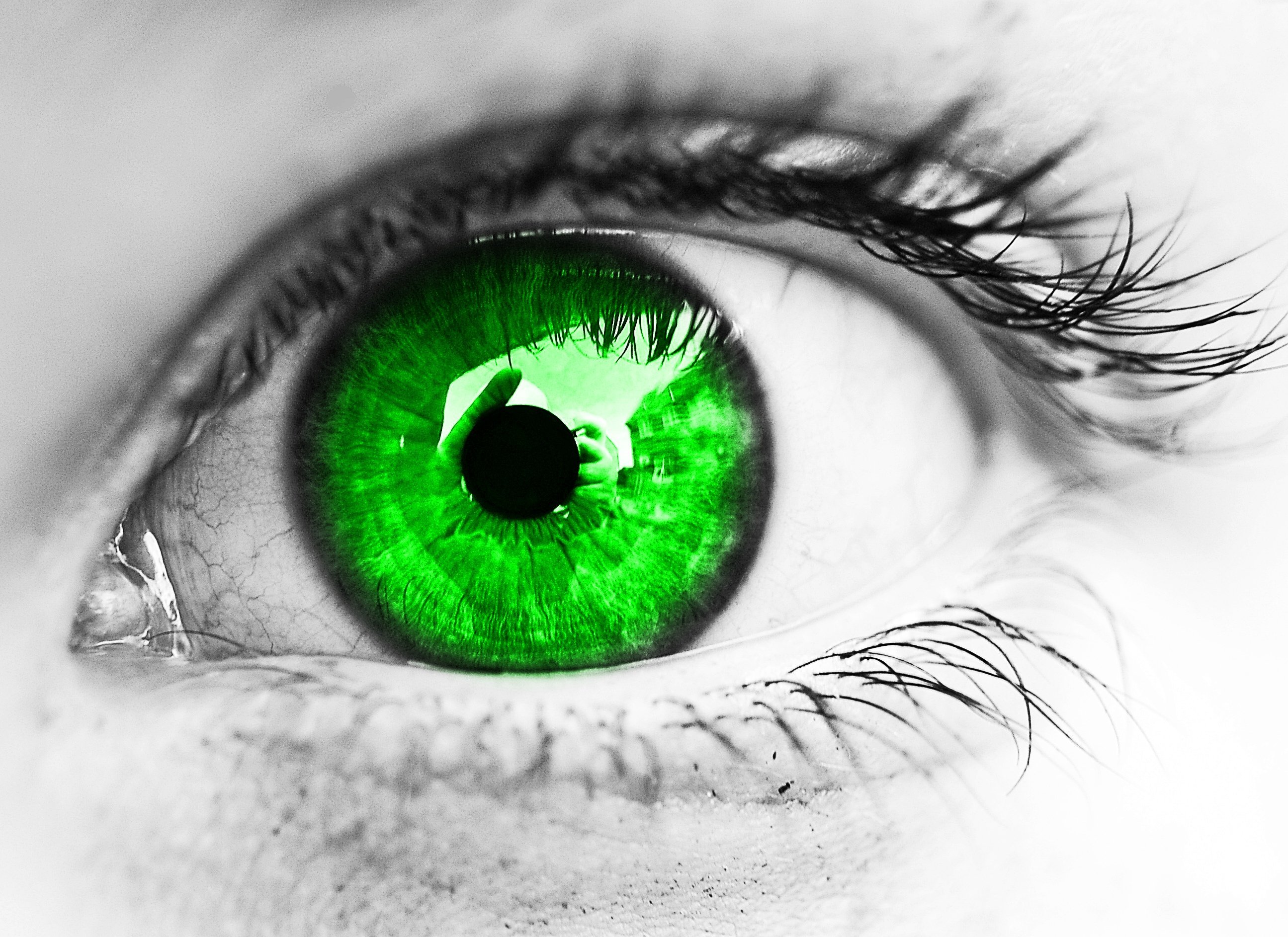 Зеленые глаза на свету. Изумрудный цвет глаз. Яркие зеленые глаза. Изумрудно зеленый цвет глаз. Ярко Изумрудные глаза.