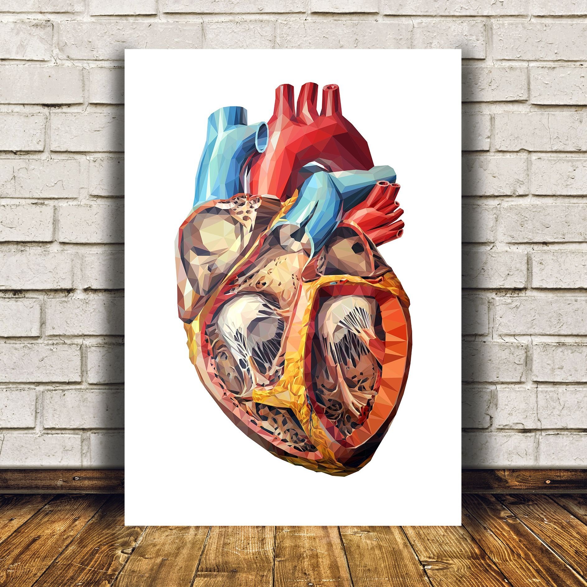 Орган сердце человека рисунок. Человеческое сердце арт. Человеческое сердце в разрезе.