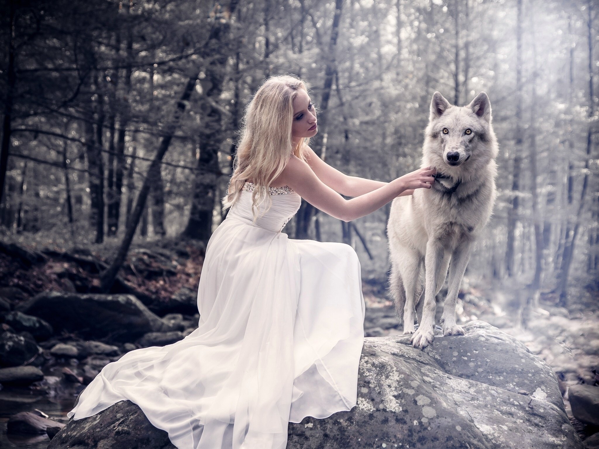 Женщина подобрала волка. Девушка с волком. Блондинка и волк. Девочка и волк. Волчица и девушка.