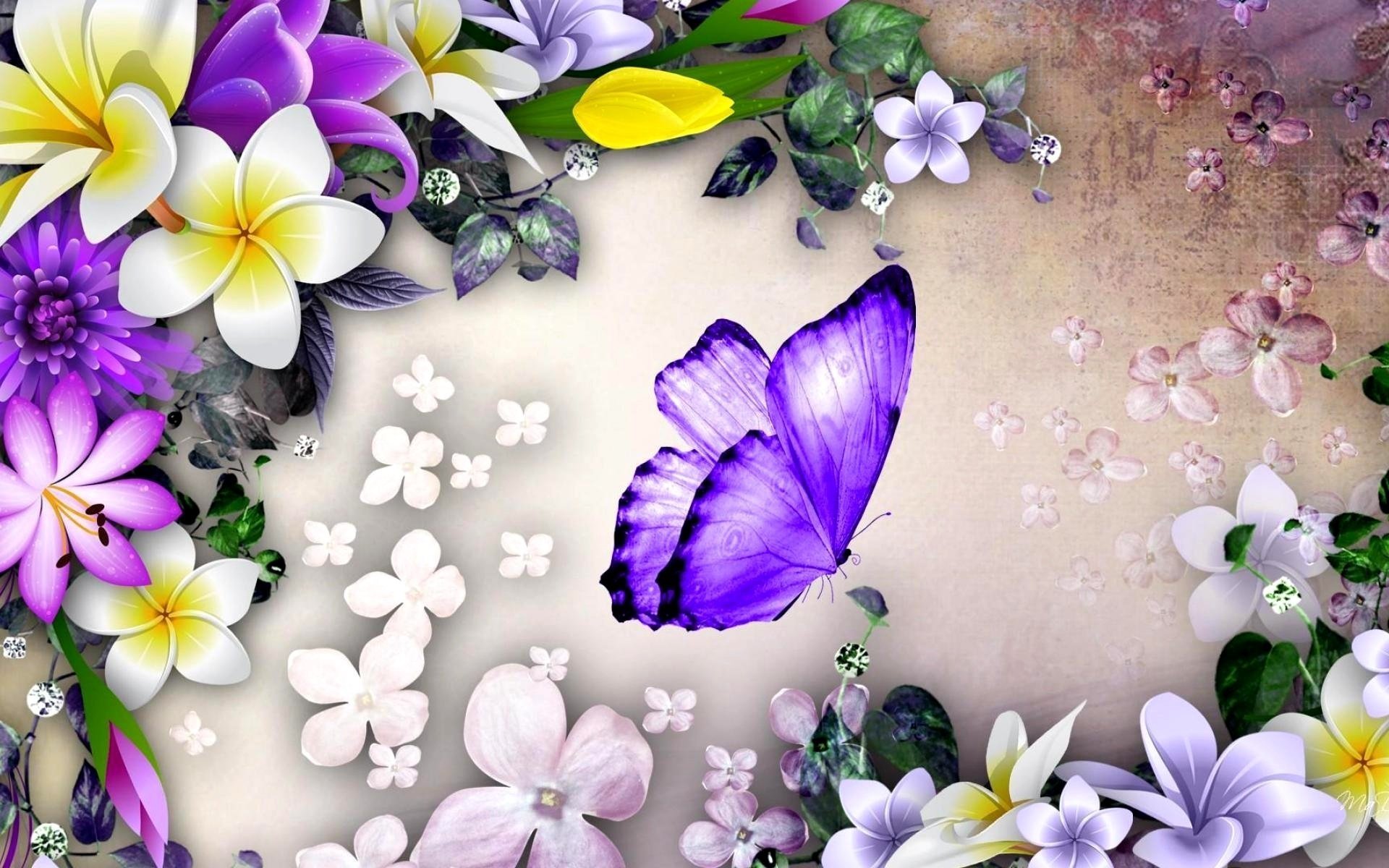 Бабочка на цветке (53 фото)