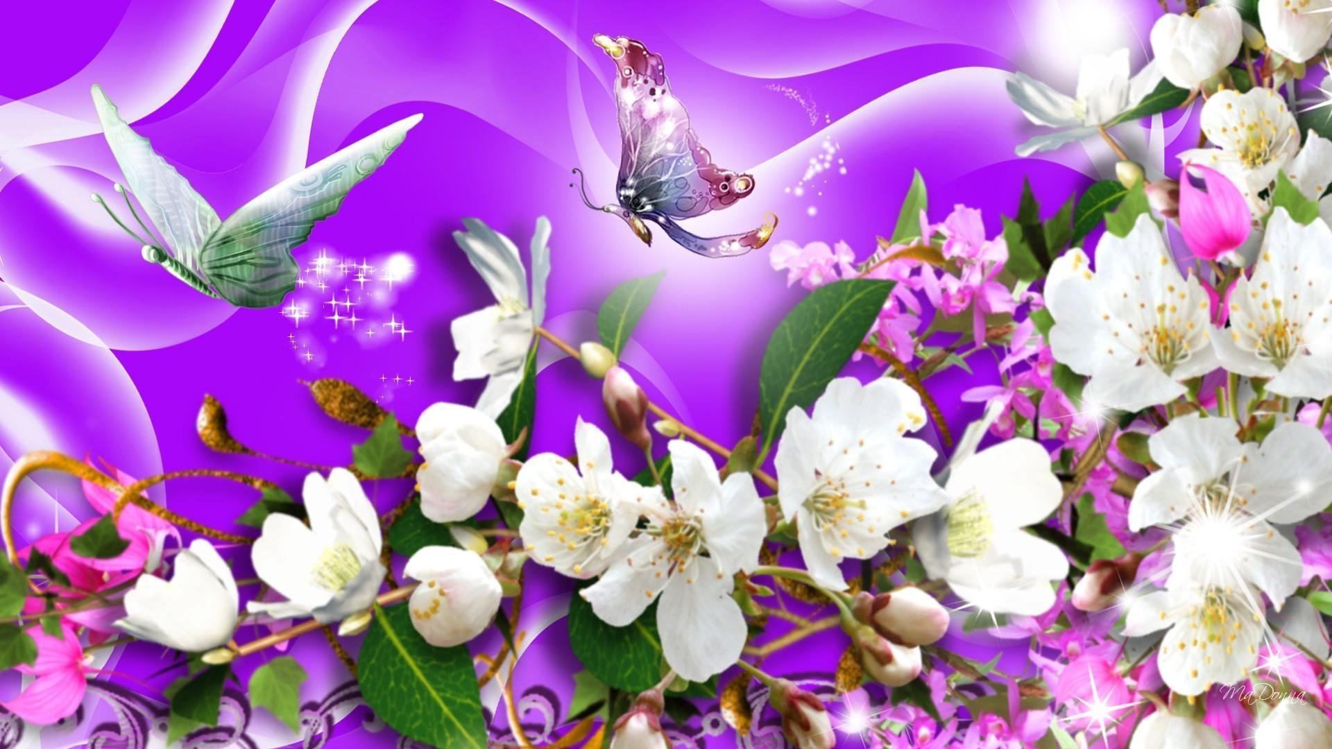 Обложка на экран телефона. Бабочка на цветке. Весенние цветы. Бабочки цветочки картинки. Красивые весенние цветы и бабочки.