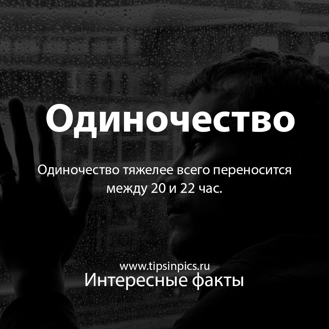 Одиночество описание. Цитаты про одиночество. Цитаты протодиночество. Одна цитаты. Высказывания про одино.