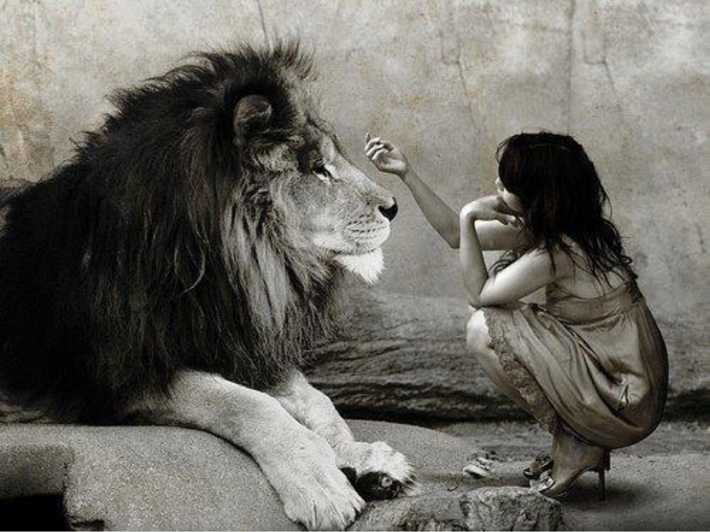 Укрощать льва. Девушка и Лев. Фотосессия со львом. Лев и брюнетка. Левая девушка.