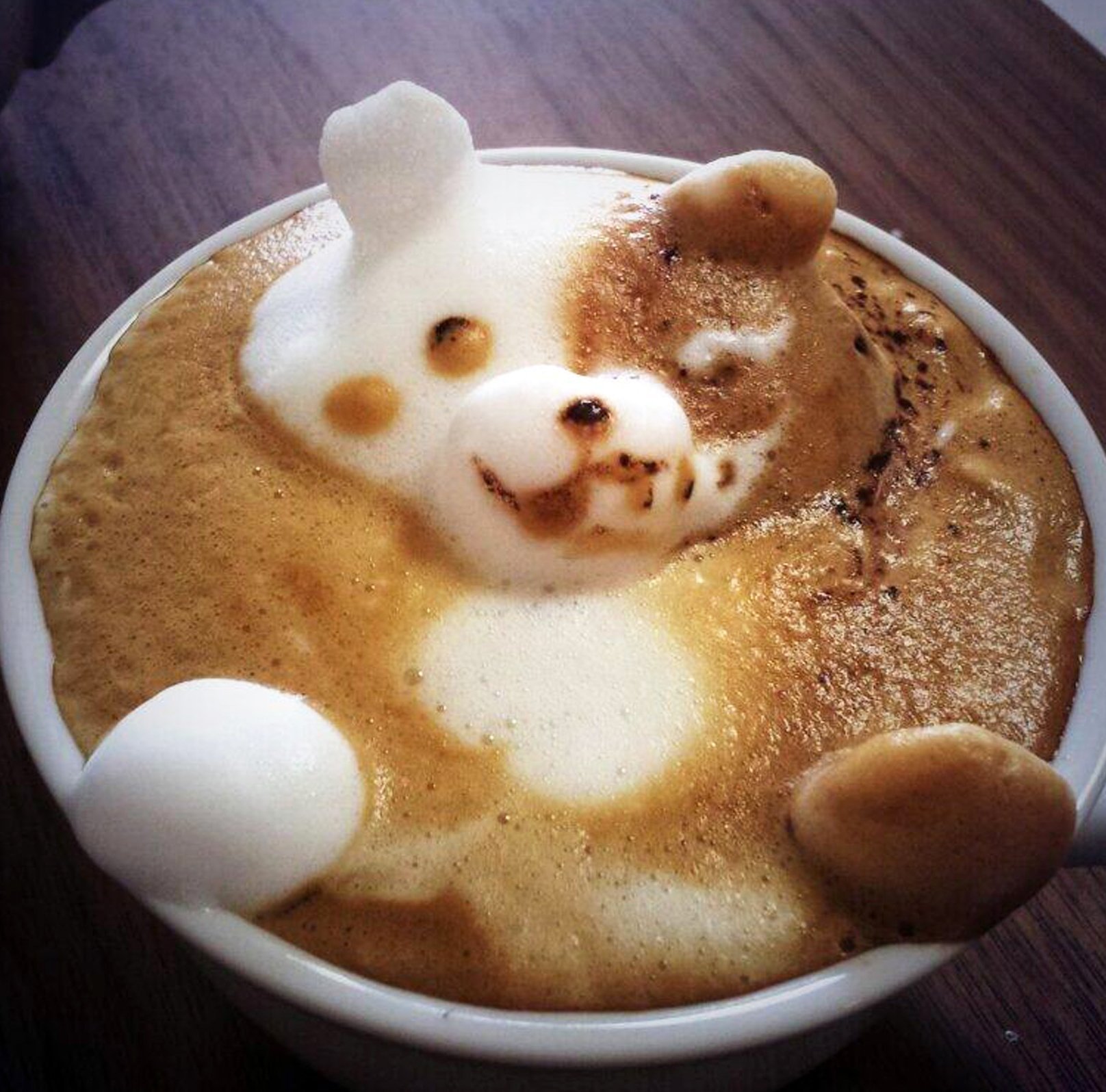 Доброе утро медведь картинки. 3д латте арт. Латте арт мишка. Объемный латте арт. Мишка с кофе.