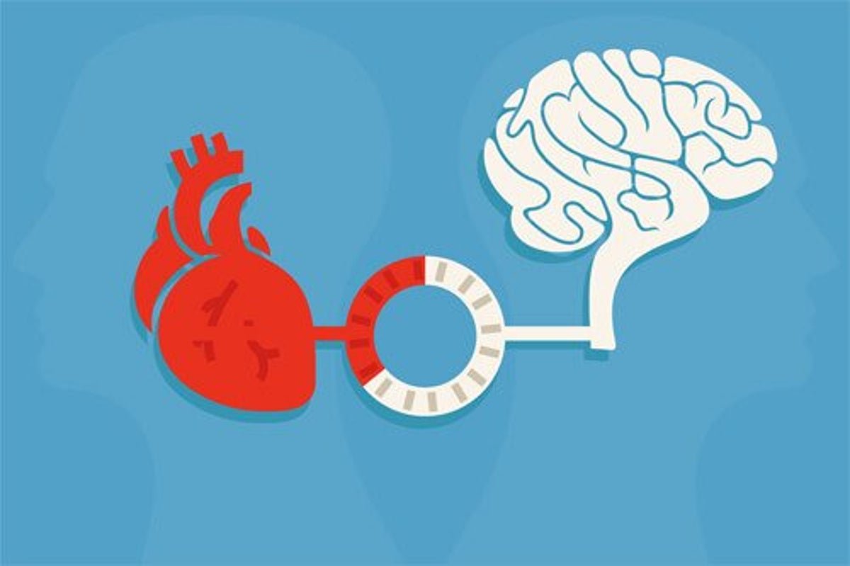 У сердца есть мозг. Мозг и сердце. Мозг против сердца. Сердце и мозг человека. Мозг с сердечком.