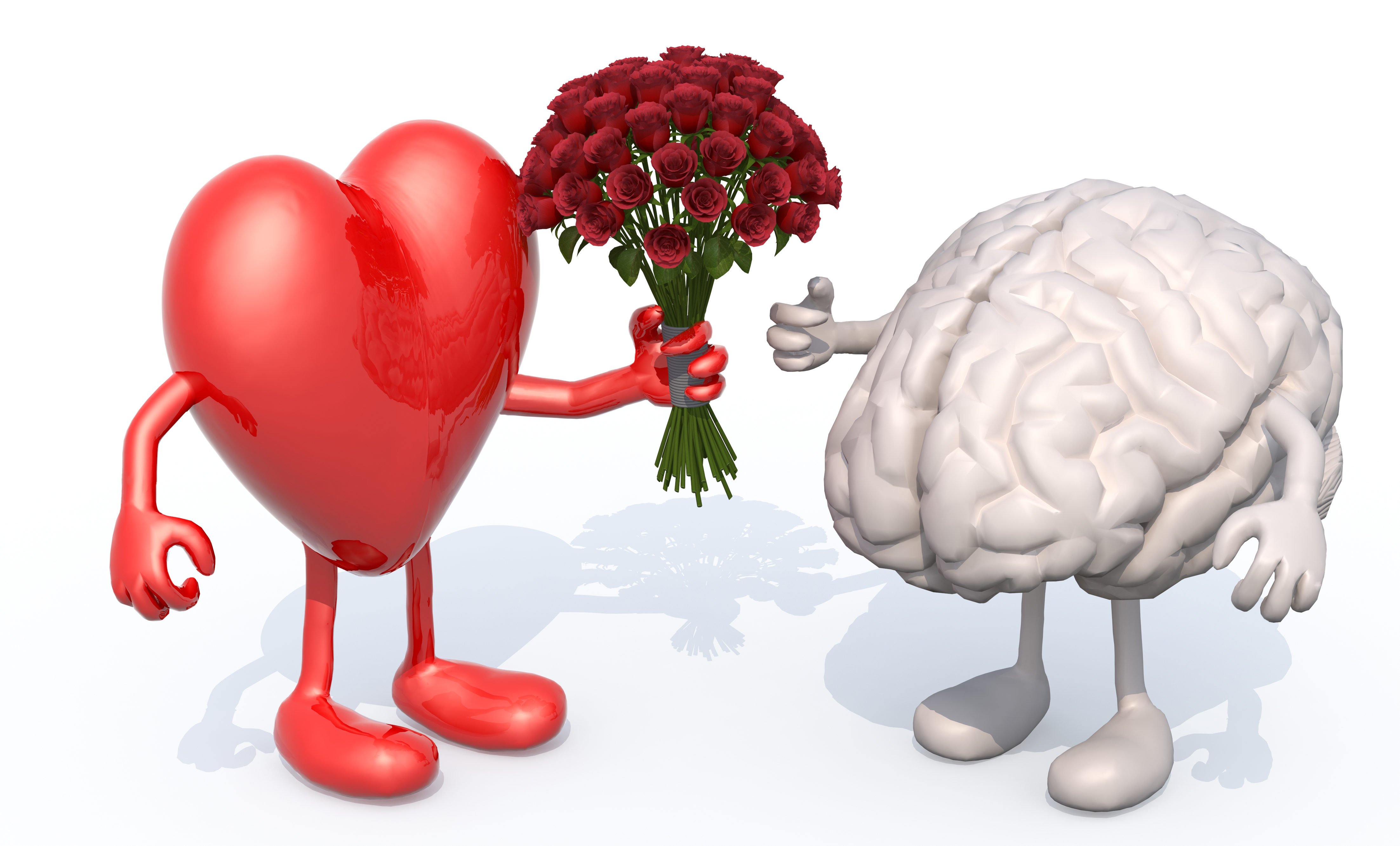 Heart and brain. Мозг и сердце. Сердце и разум. Ум и сердце. Мозг и сердце дружат.