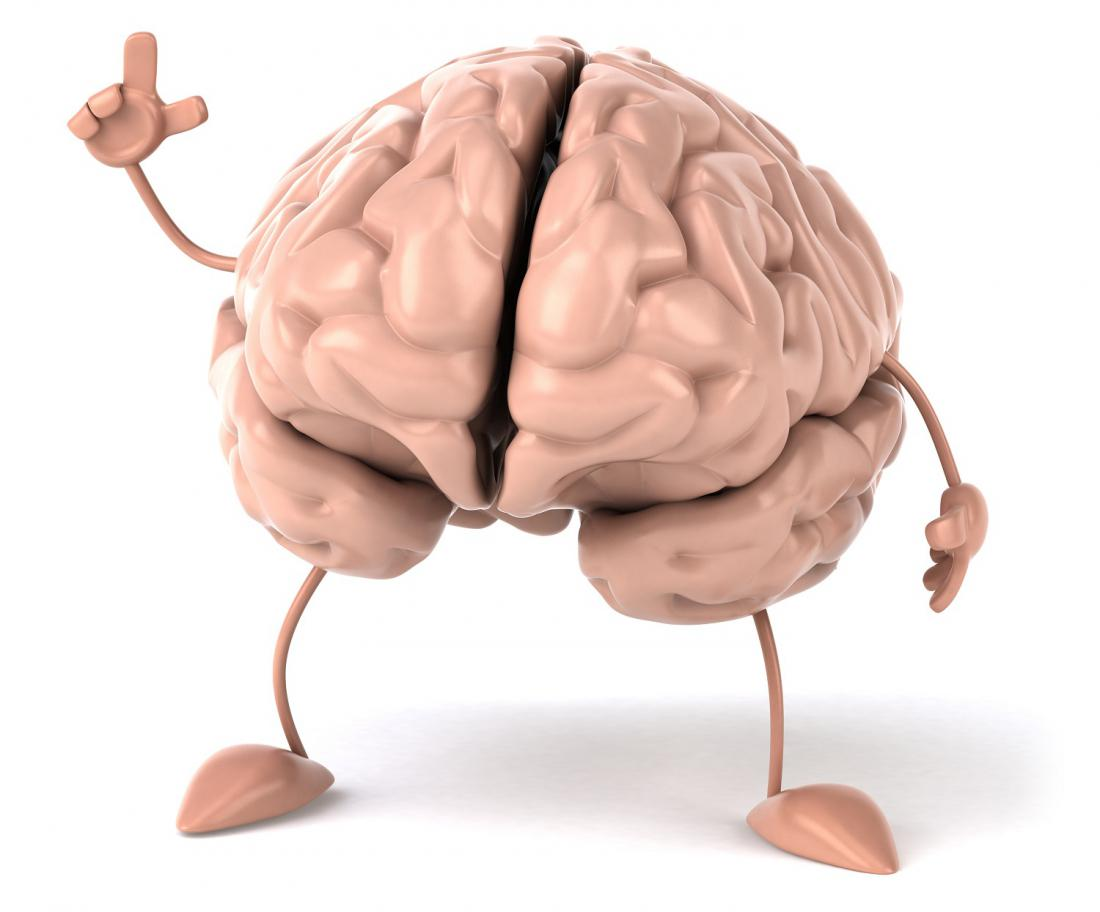 Мозг без головы крокус. Изображение мозга.