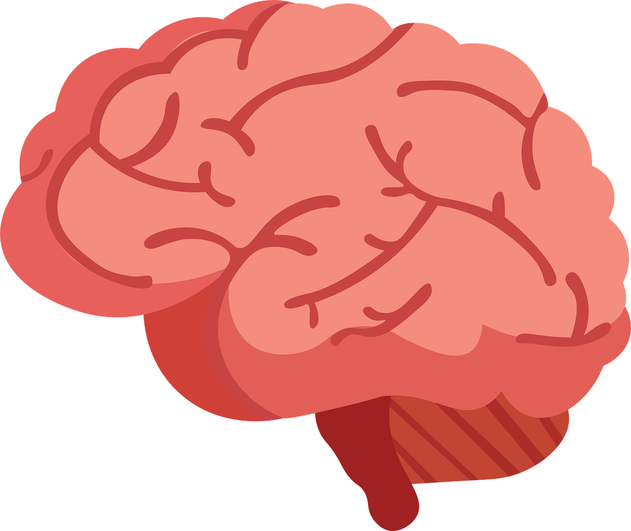 Мозги над головами. Мозг векторное изображение. Мозг нарисованный. Мозг очертания.