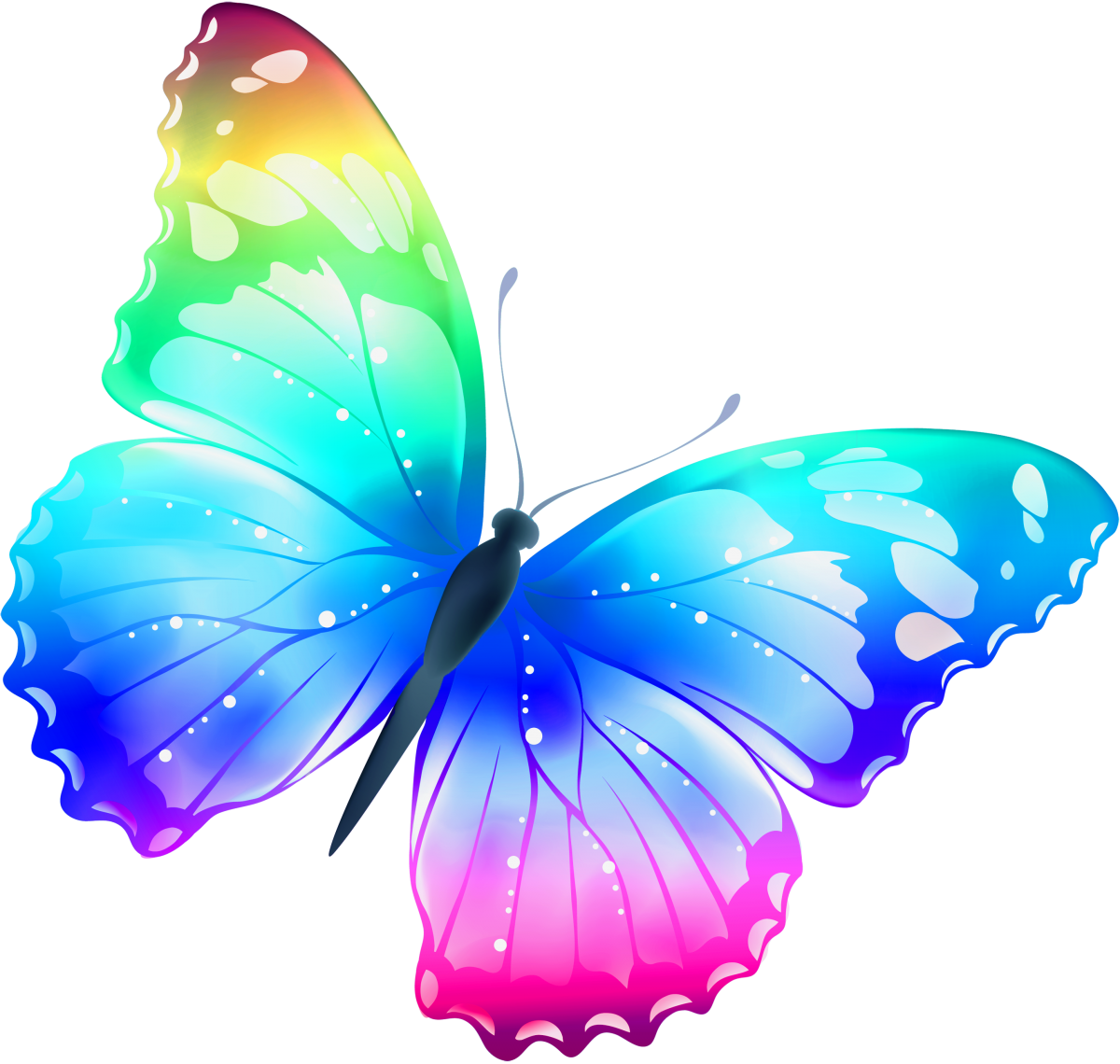Без цветной рисунок. Разноцветные бабочки. Бабочки цветные. Бабочки на белом фоне. Бабочка рисунок.