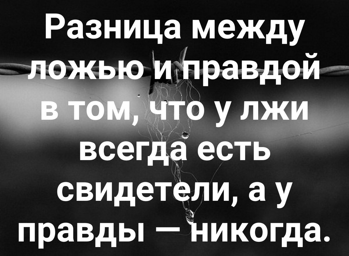 Отзывы о «Ложь или правда?» — Яндекс Карты