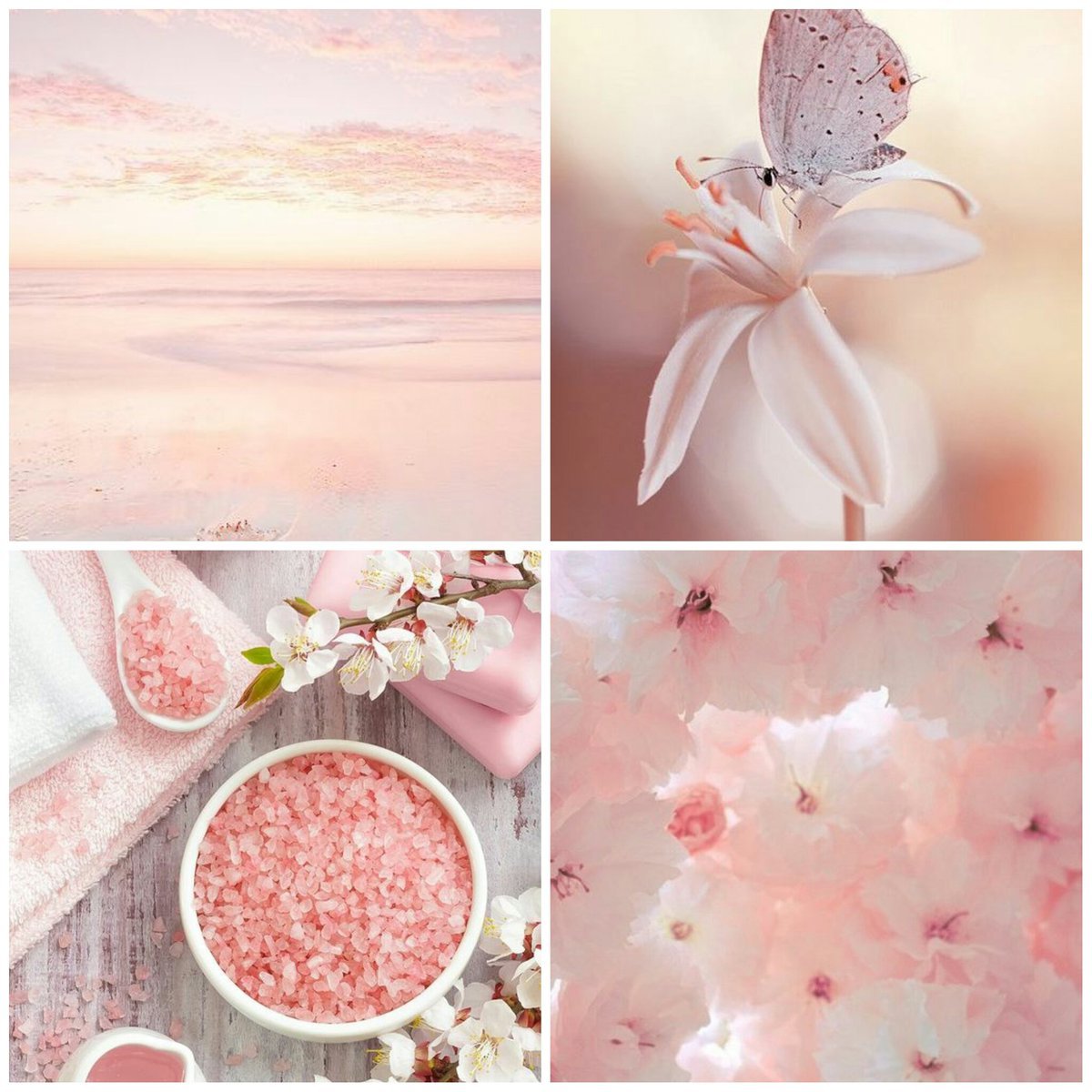 Розовые раскладки. Нежный цветок. Природа в пастельных тонах. Эстетика розового цвета. Нежный розовый цвет.