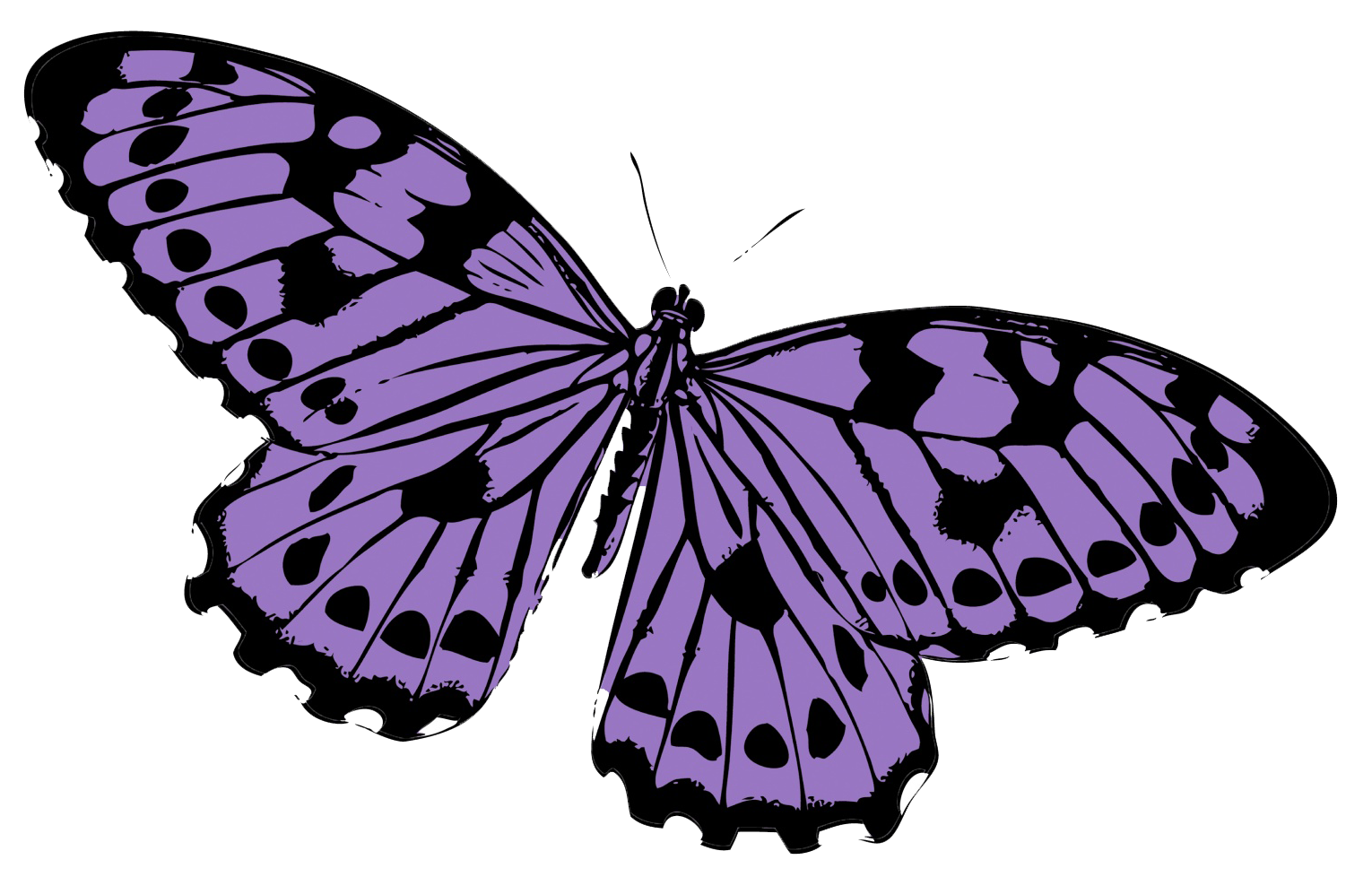 Фиолетовые бабочки картинки. Бабочка фиолетовая. Бабочки сиреневые для печати. Бабочки клипарт. Бабочки сиреневые на белом фоне.