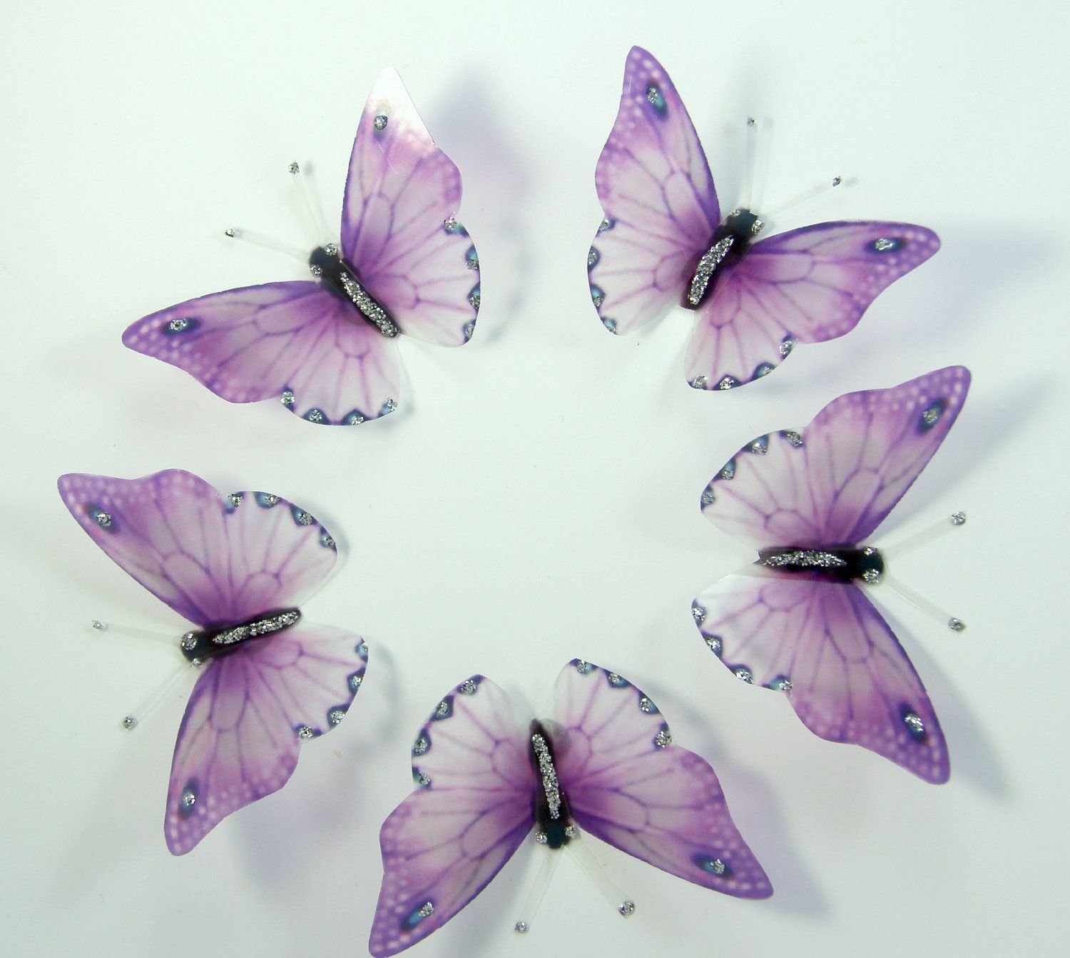 Фиолетовые бабочки картинки. Бабочка фиолетовая. Сиреневые бабочки. Бабочки розово сиреневые. Бабочки сиреневые фотопечать.