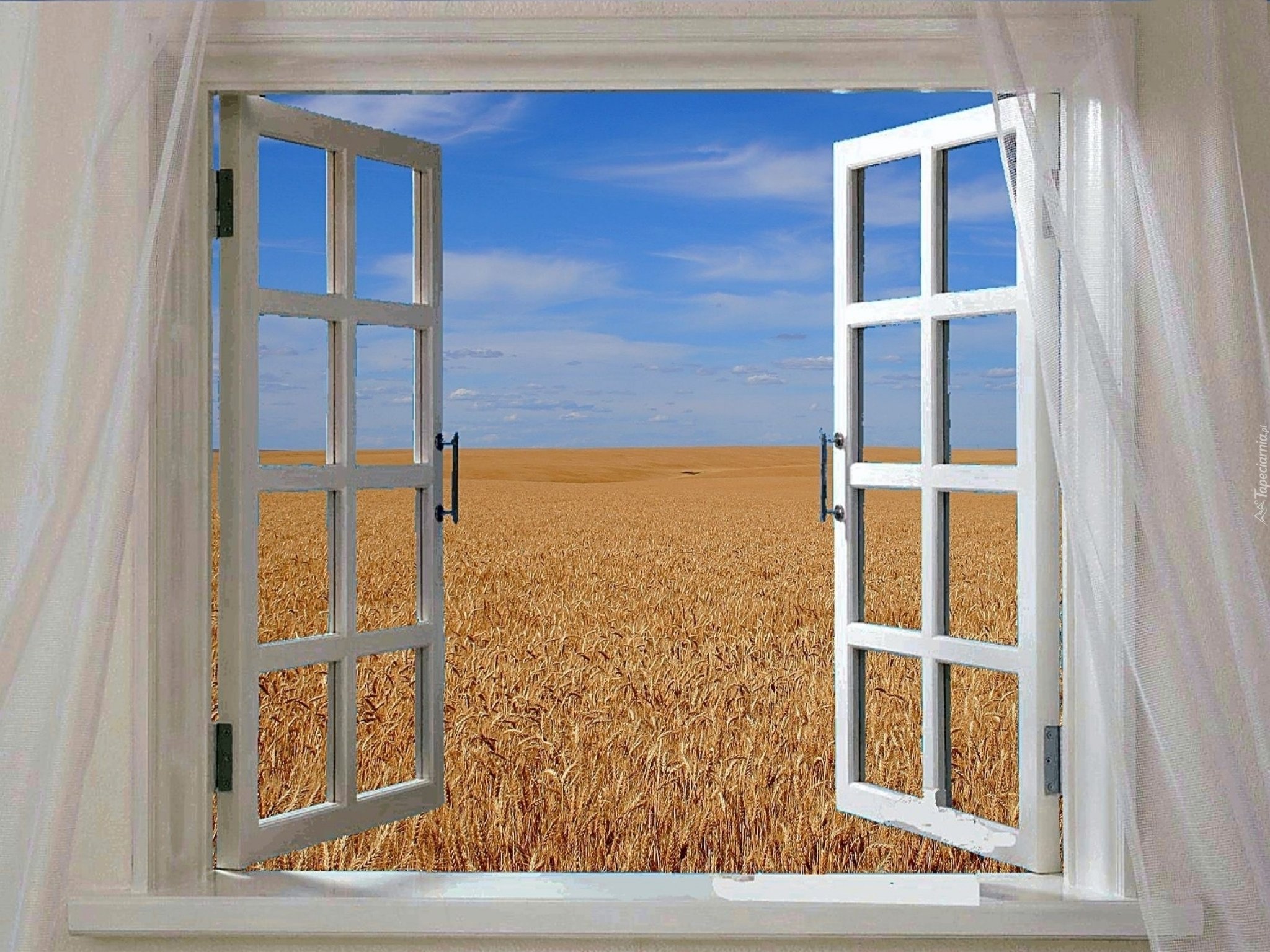 Window картинка. Фотообои окно видом на природу. Открытое окно. У окна. Окно настежь.