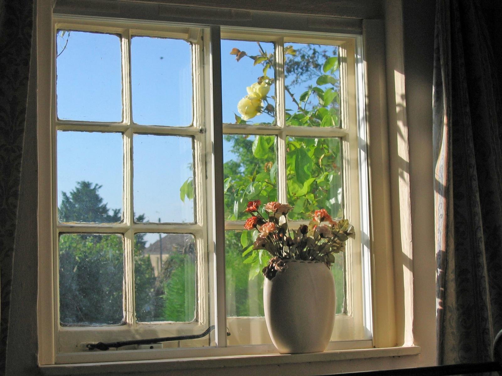 Сколько время в окне. Пейзаж в окне. Пейзаж из окна. Вид из деревенского окна. Деревенское окно.
