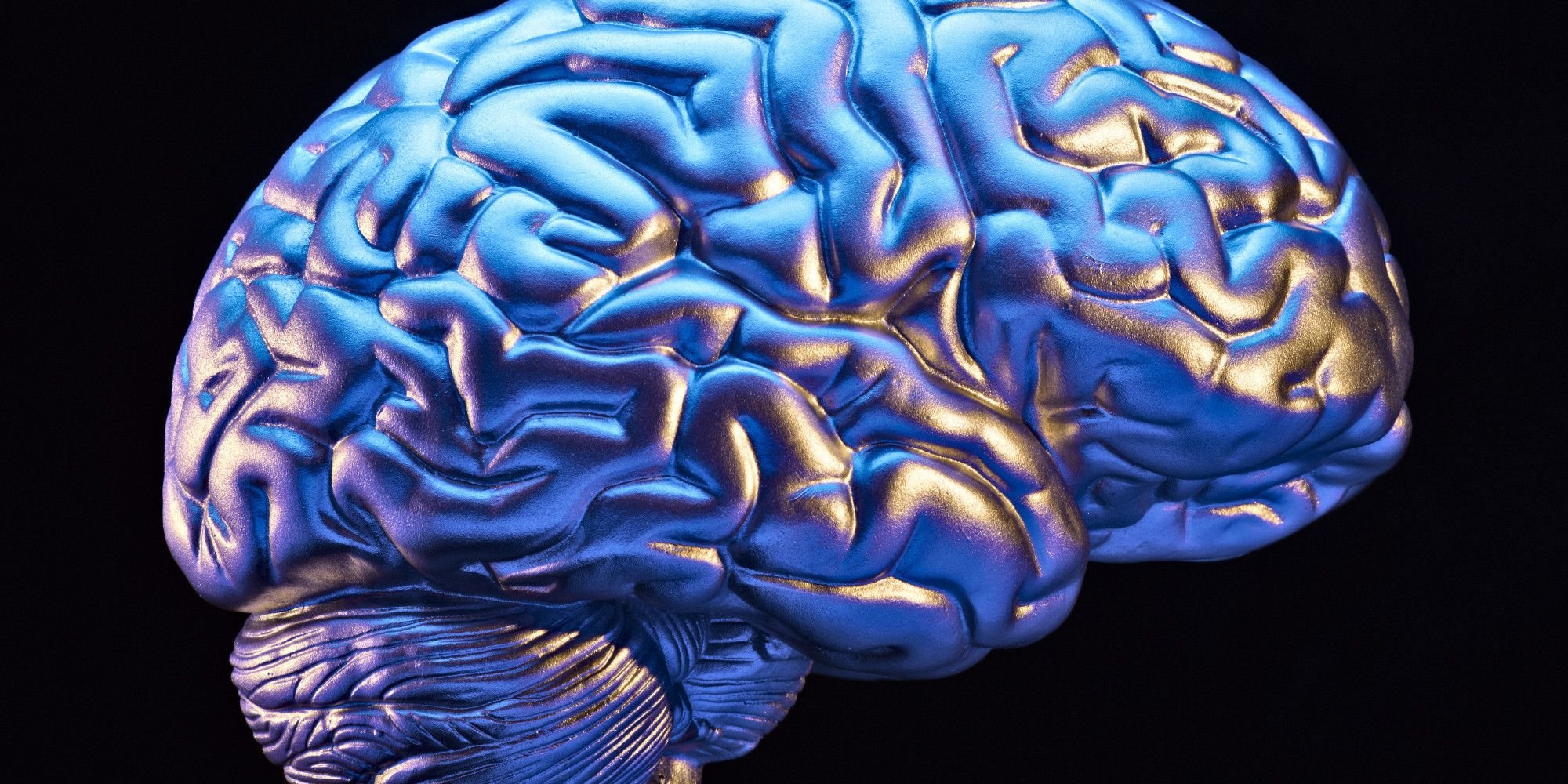 Brain год. Мозг картина. Головной мозг красиво. Картина мозга человека.