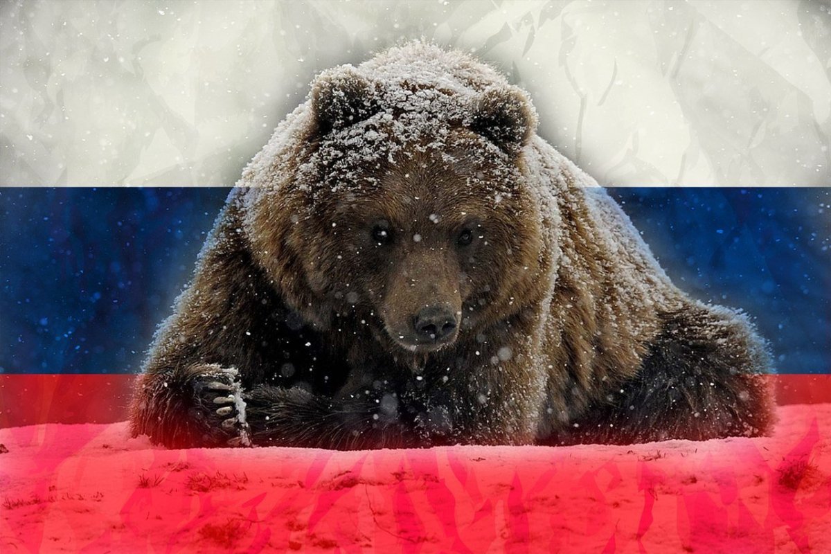 Где бесплатный мишка. Русский медведь. Медведь символ России. Медведь на фоне российского флага. Красивый медведь.