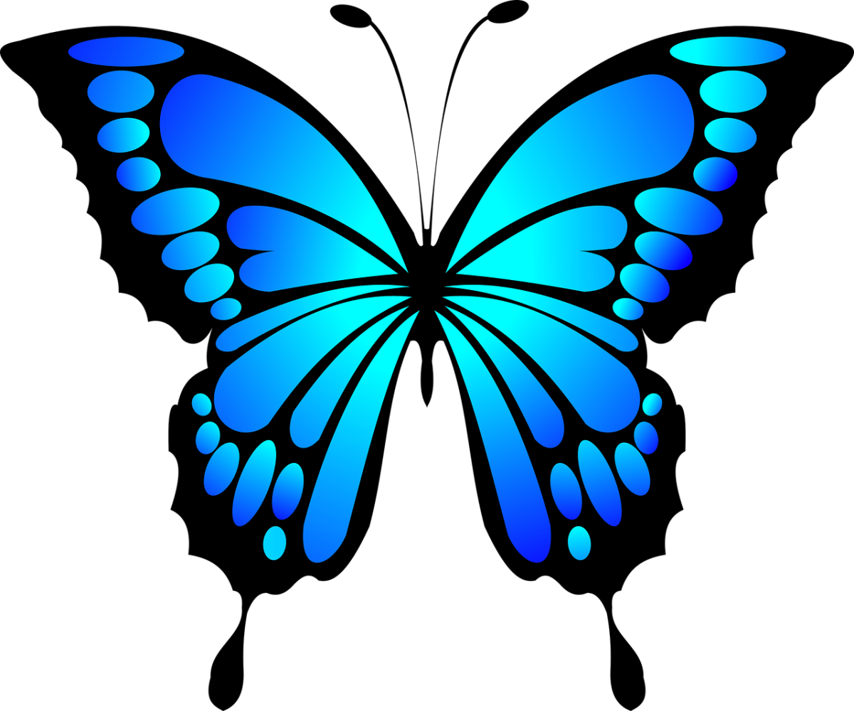 Синие бабочки картинки