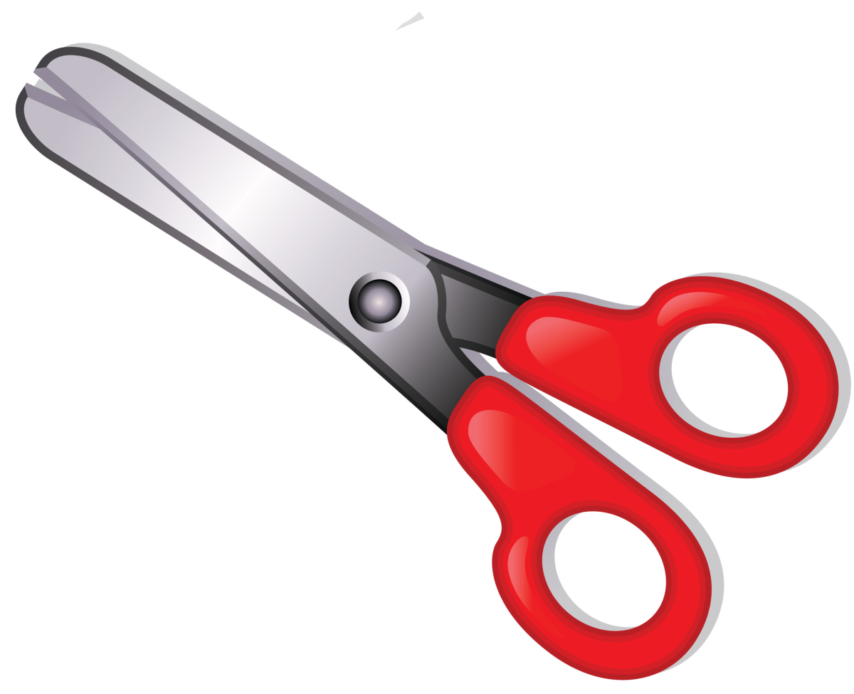 Jean Marie Roulot Scissors