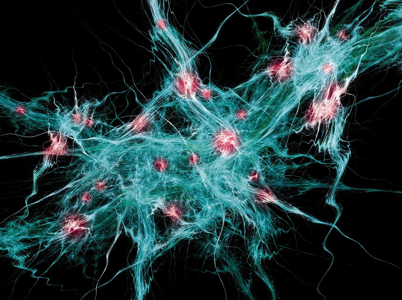 Нейросеть загрузить картинку. Нейронная сеть. Нейронная сетка. Сеть нейронов. Нейрон нейросети.