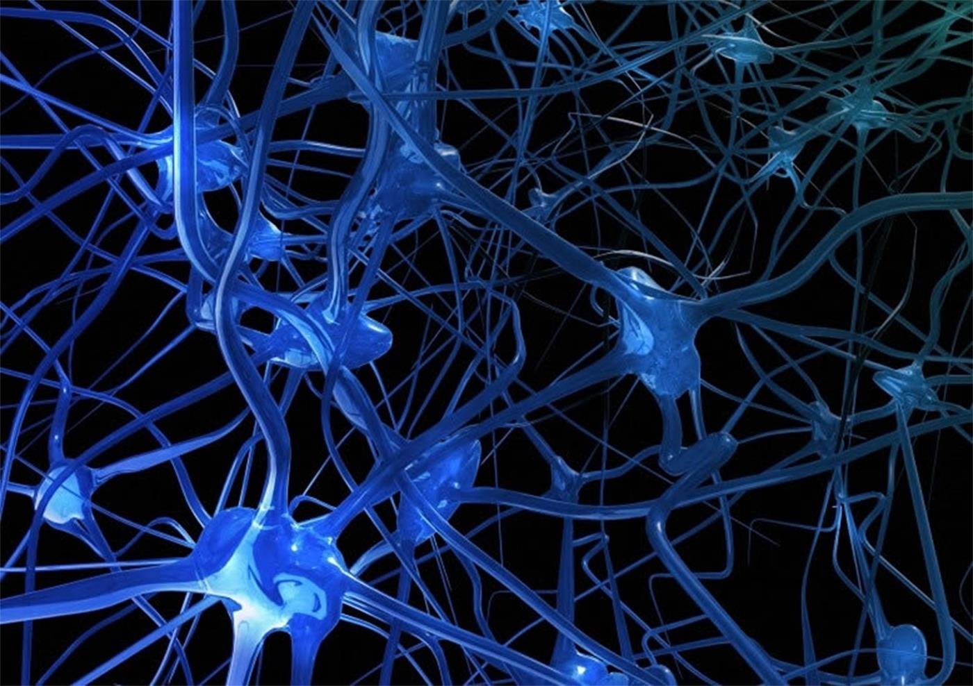Скорость нейронов в мозге. Искусственная нейронная сеть и Нейрон. Нейросеть Нейроны. Искусственный Нейрон нейросеть. Neural Network нейросеть.