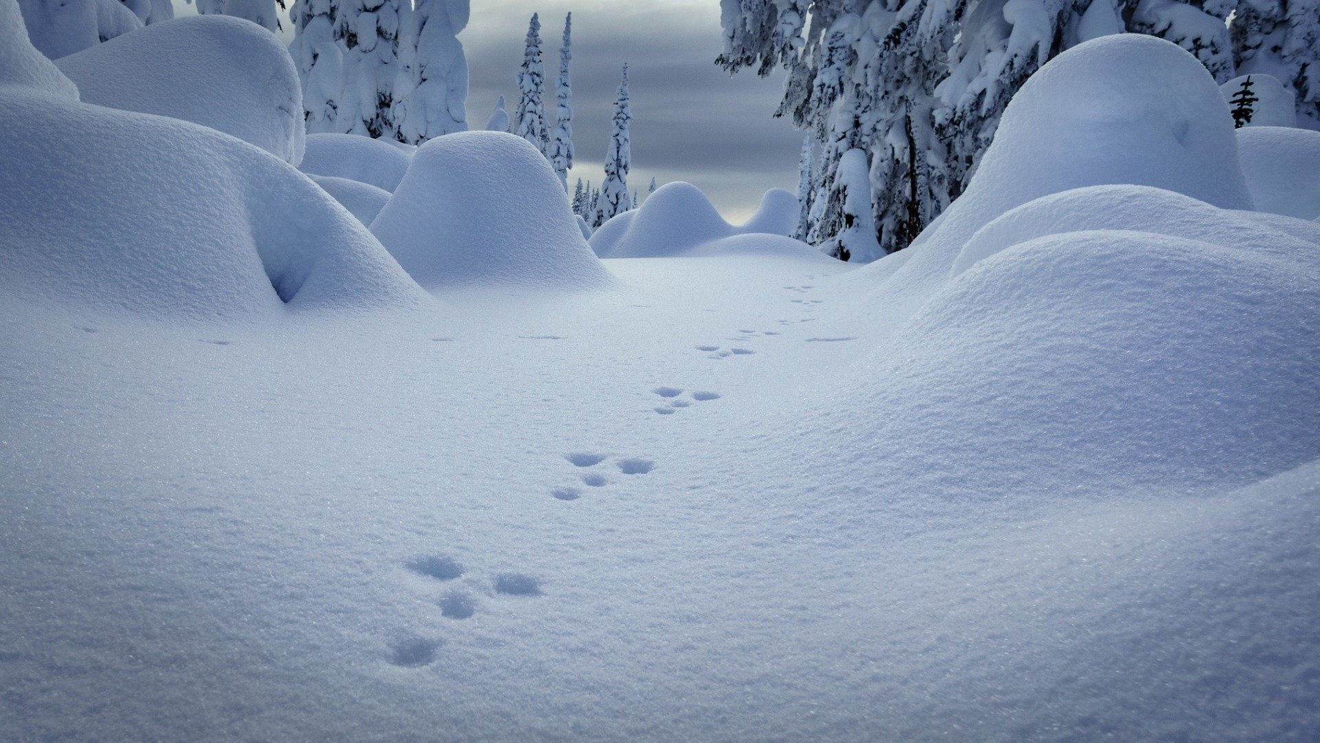 Картинки сугробы снега - 53 фото
