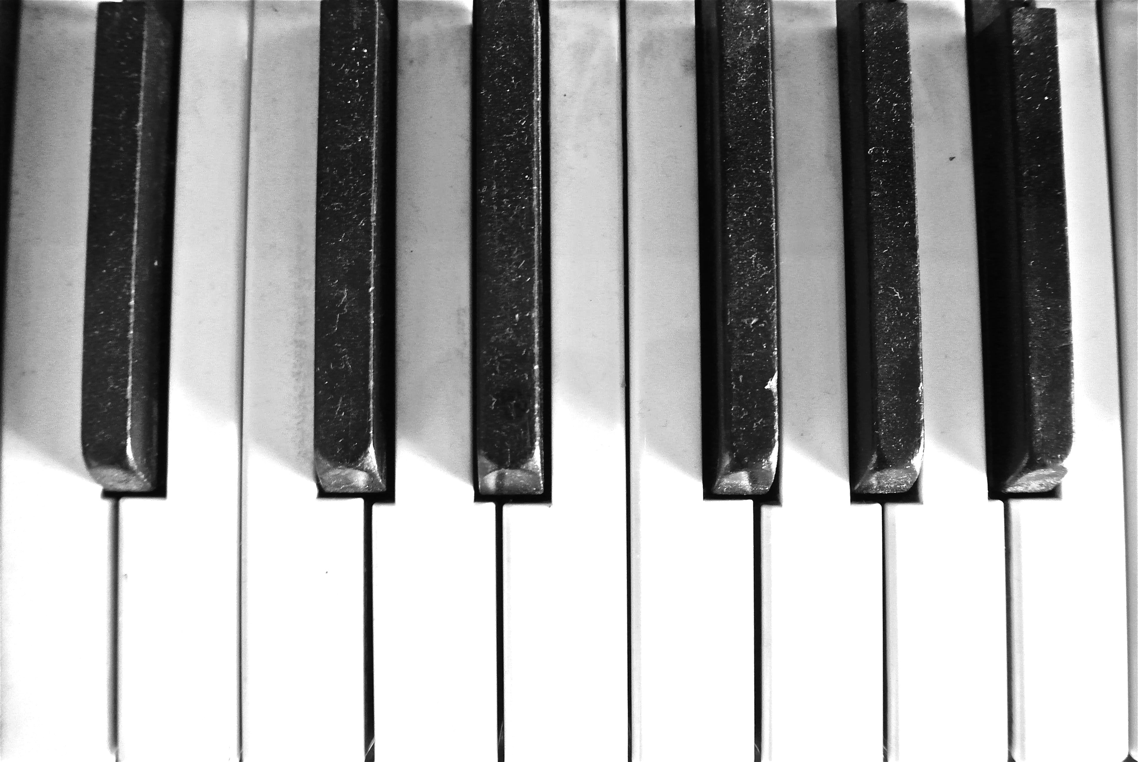 Клавиши классического пианино. Клавиатура пианино фоно. Клавиши фортепиано. Клавиатура рояля. Клавиши пиано.