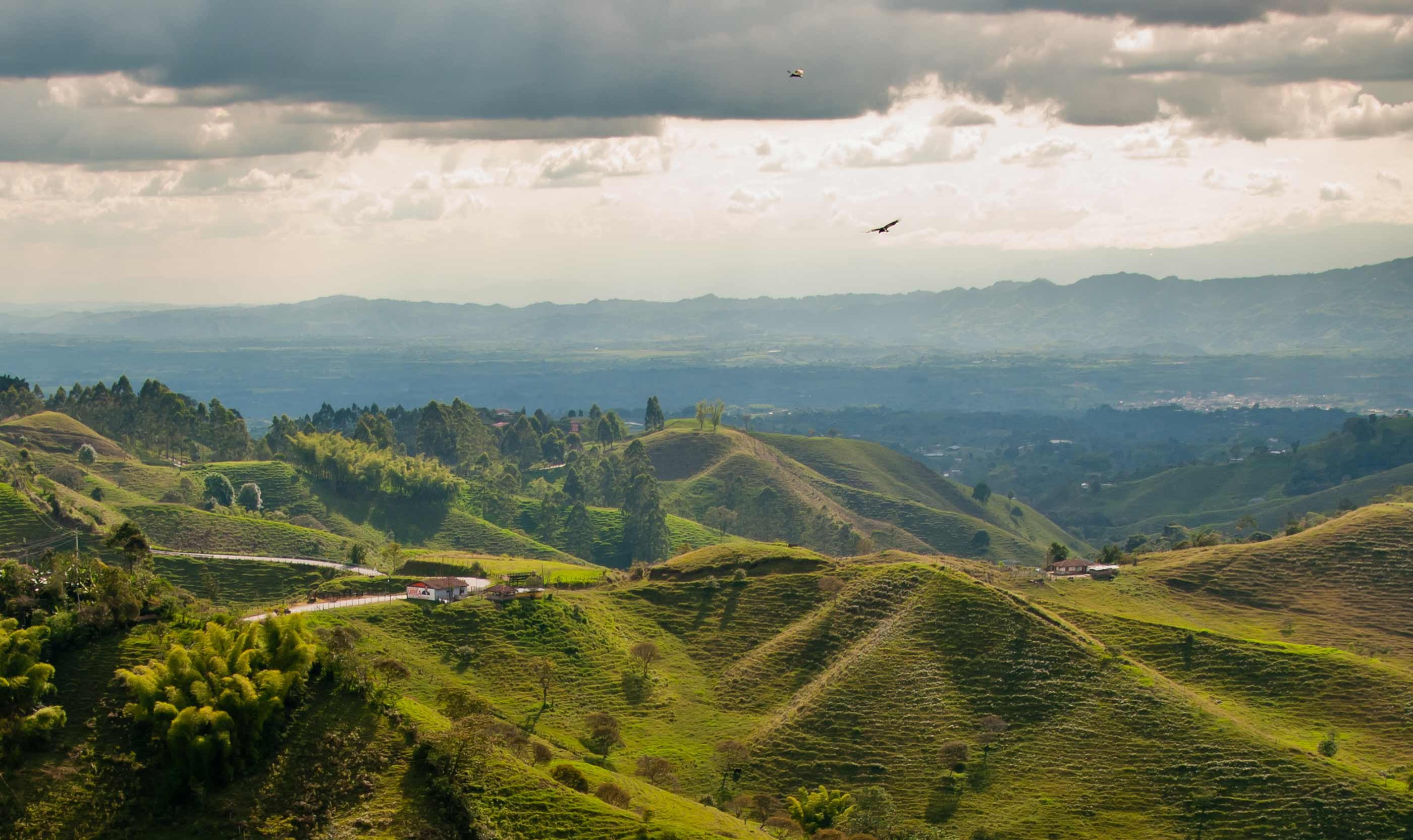 Skokka Colombia