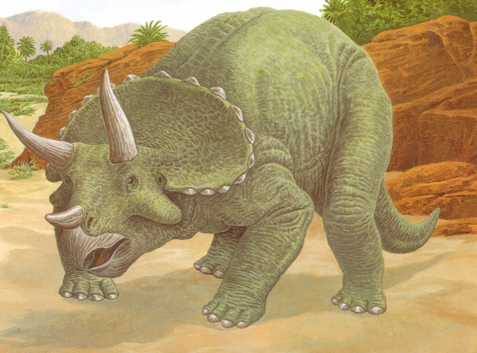Покажи трицератопса. Травоядные динозавры Трицератопс. Трицератопс Эра. Трицератопс Юрского периода.