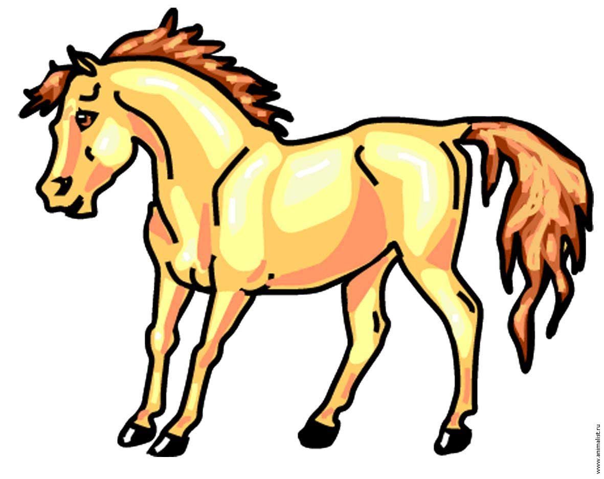 Лошадь картинки рисунки. Лошадь рисунок. Лошадь для детей. Лошадь картинка для детей. Лошадка рисунок для детей.