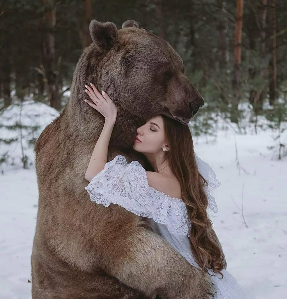 Медведь и лиса любовь - 64 фото