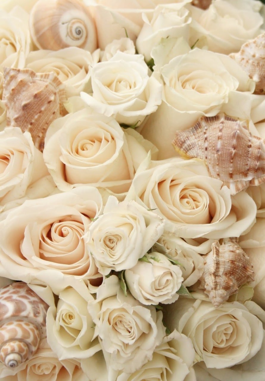 Фотообои 3D Бежевые цветы, 15155