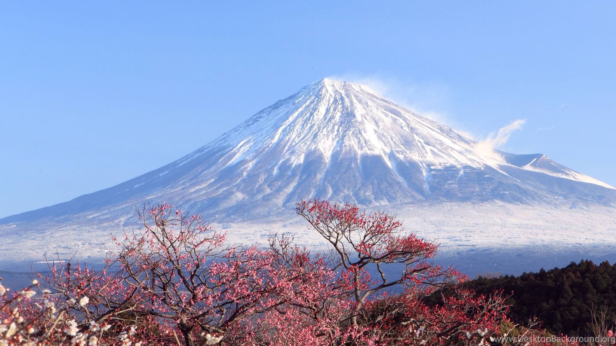 Фудзияма каталог. Вулкан Фудзияма. Гора Фудзияма в Японии восхождение. Фудзияма вулкан туристы. Восхождение на Фудзи.