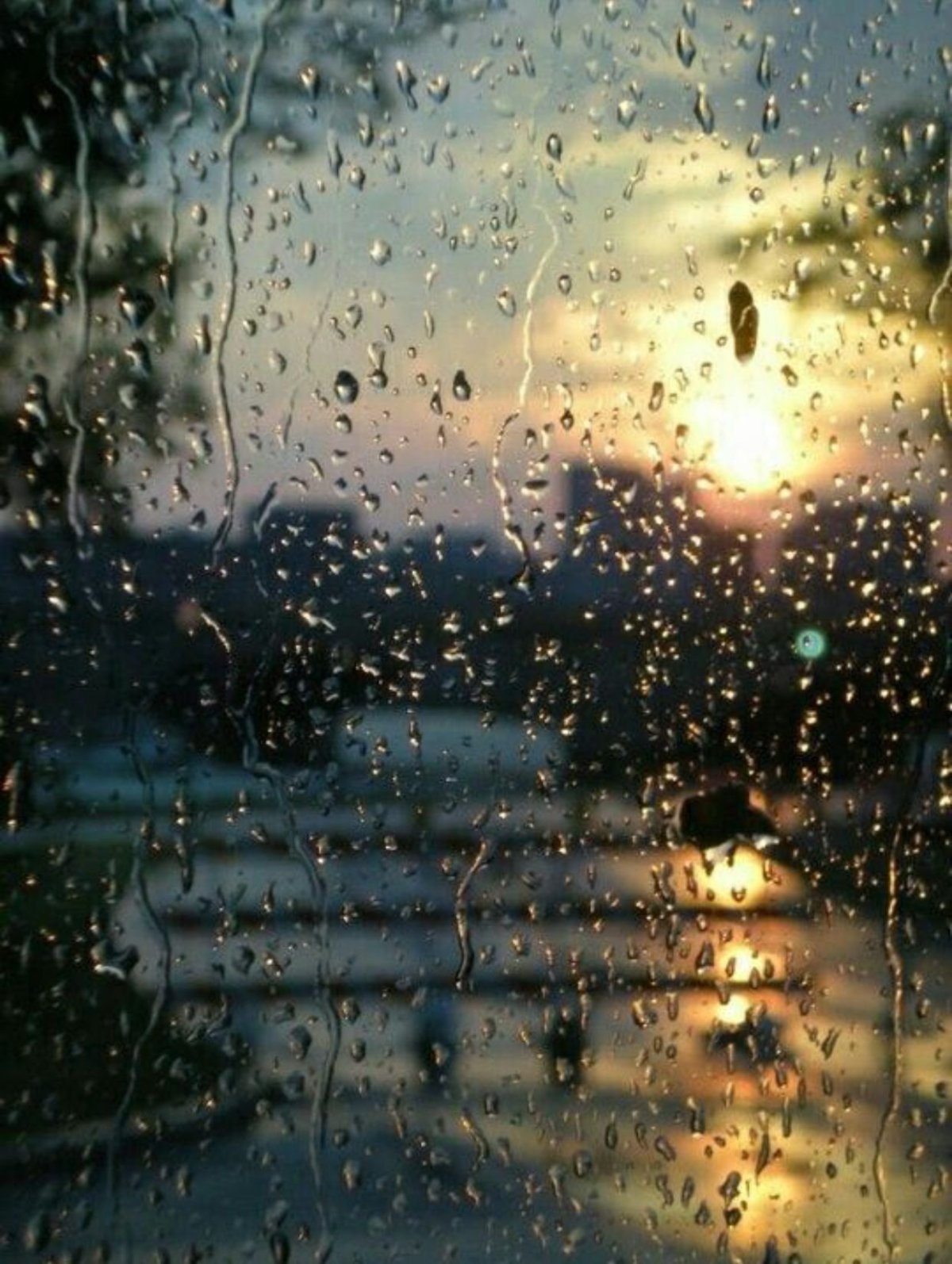 Картинки дождя за окном