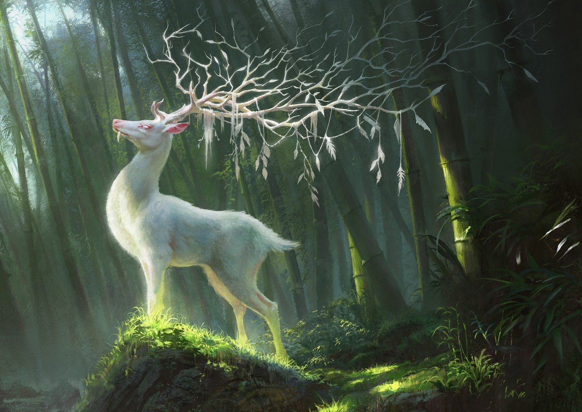 Волшебный дух леса
