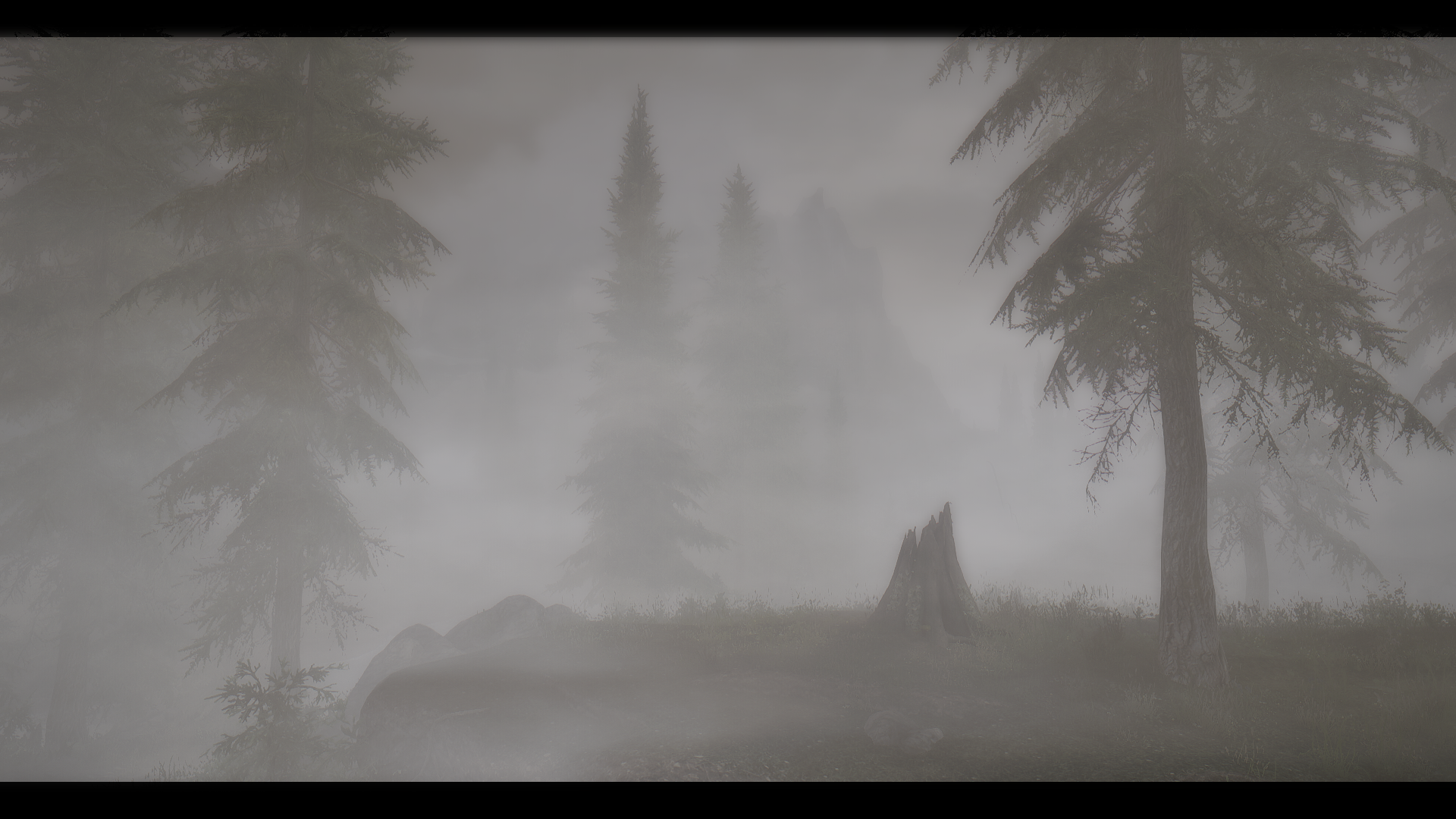 В воздухе стояла мгла из белесоватого. Туман войны. Лес во мгле. Мгла туман. Немец в тумане.