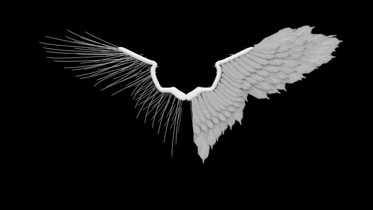 Крылья темного ангела