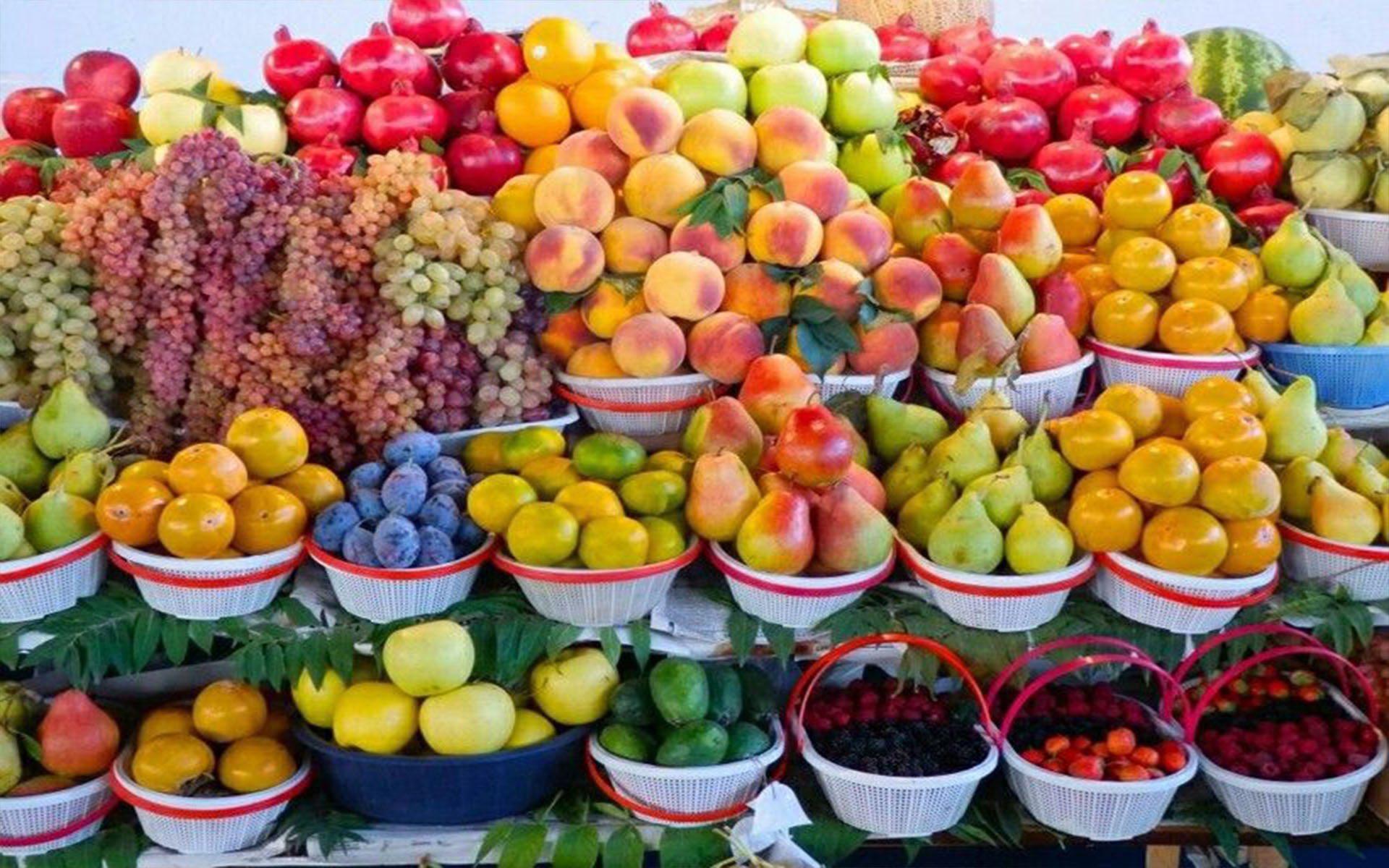 фрукты болгарии