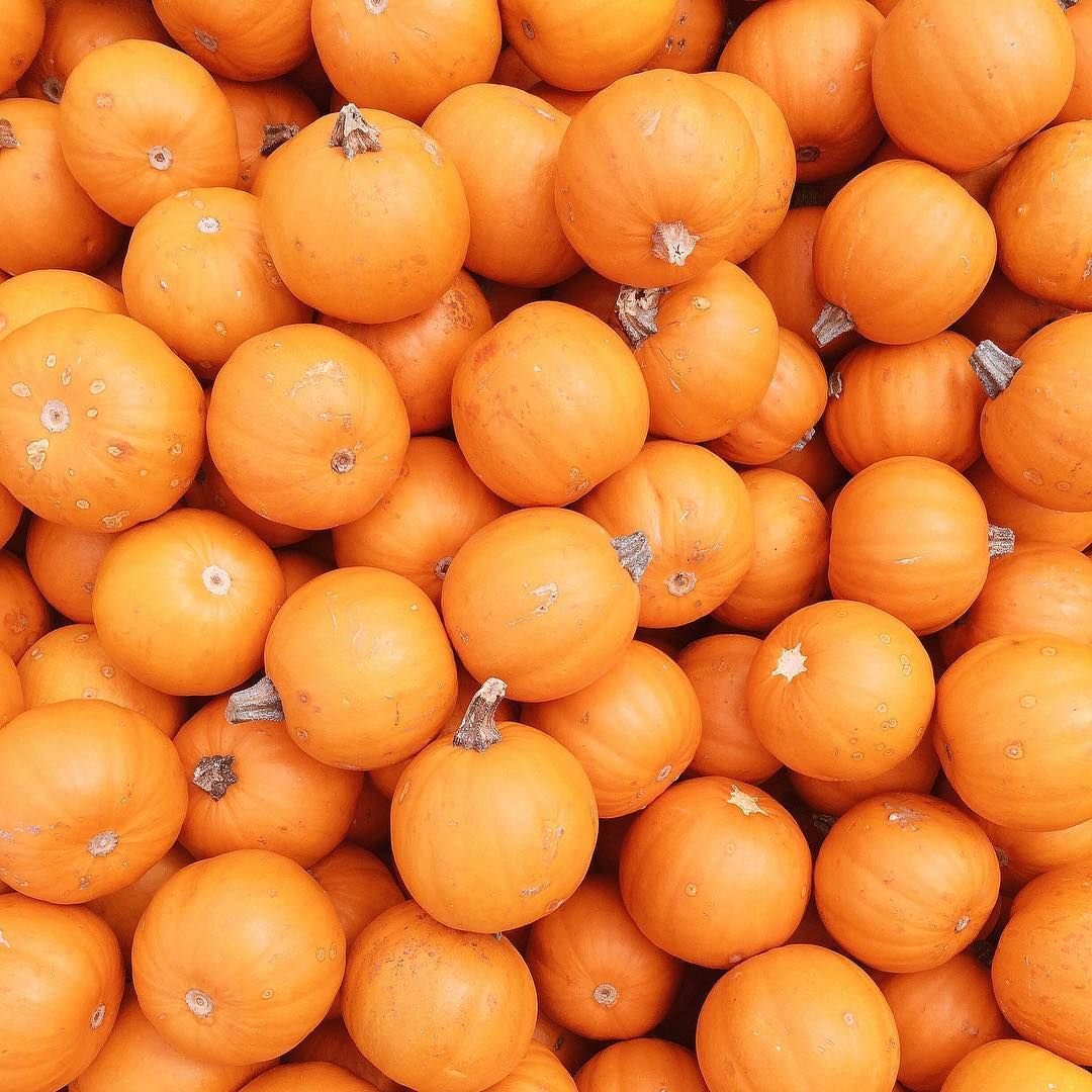 Оранжевый фрукт. Оранжевые овощи. Фрукты оранжевого цвета. Круглый оранжевый овощ. Овощи оранжевого цвета